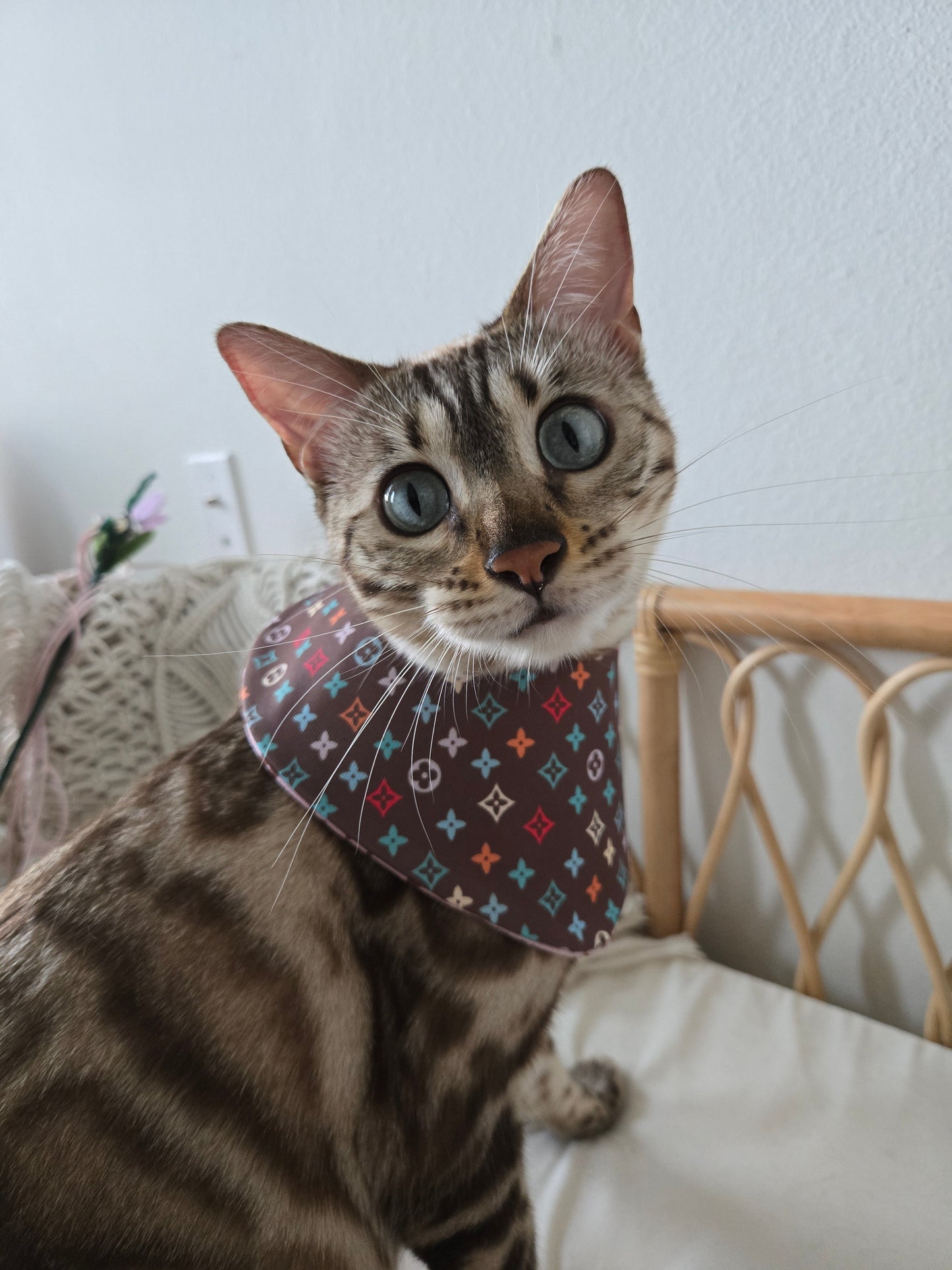Louis Meowton Pet Bandana (reversible 4-way wear)