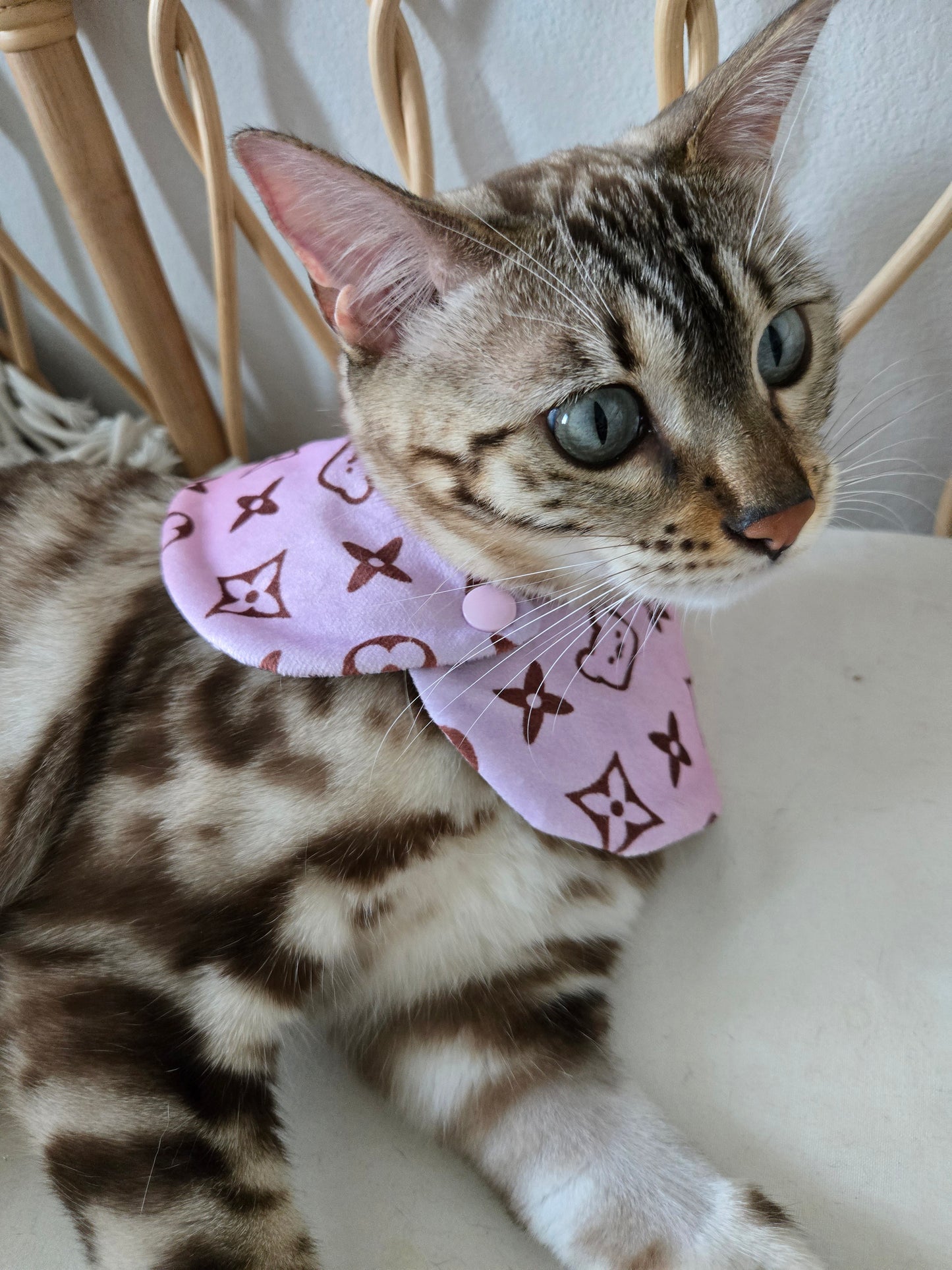 Louis Meowton Pet Bandana (reversible 4-way wear)