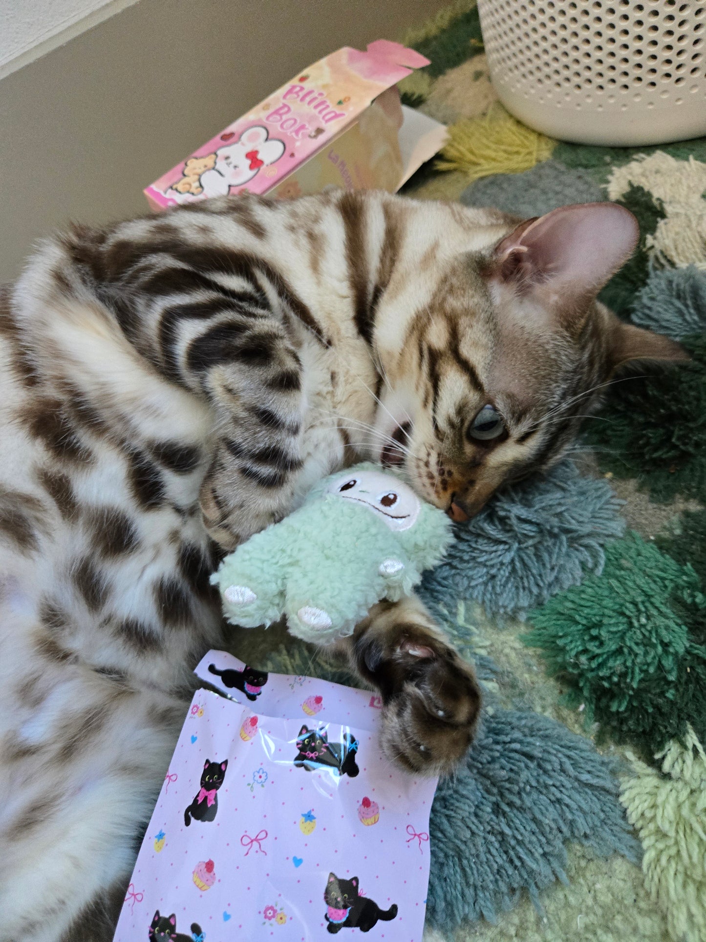 La Meow Meow Blind Box Catnip Toy