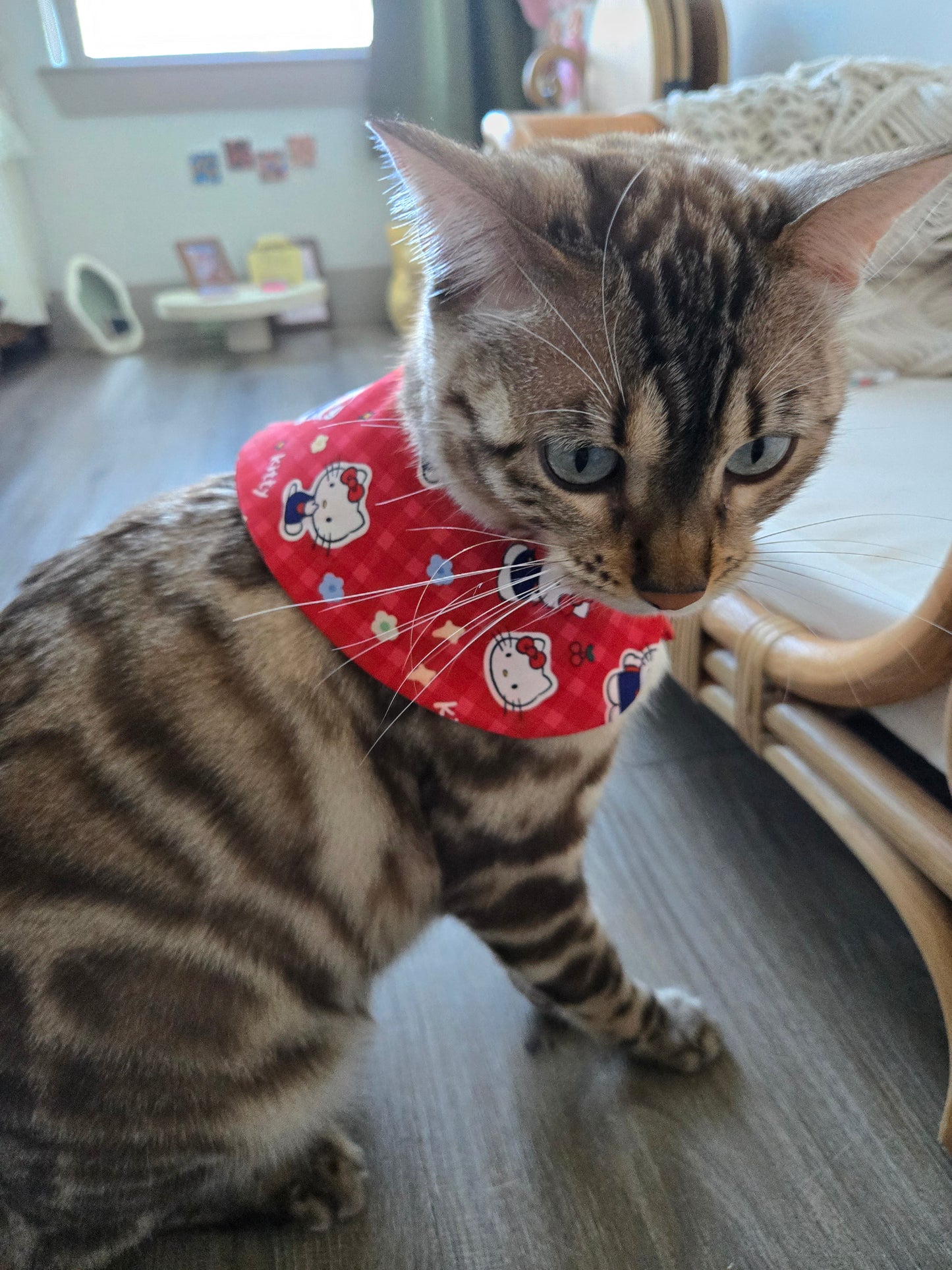 Picnic in Bloom Pet Bandana (reversible 4-way wear)