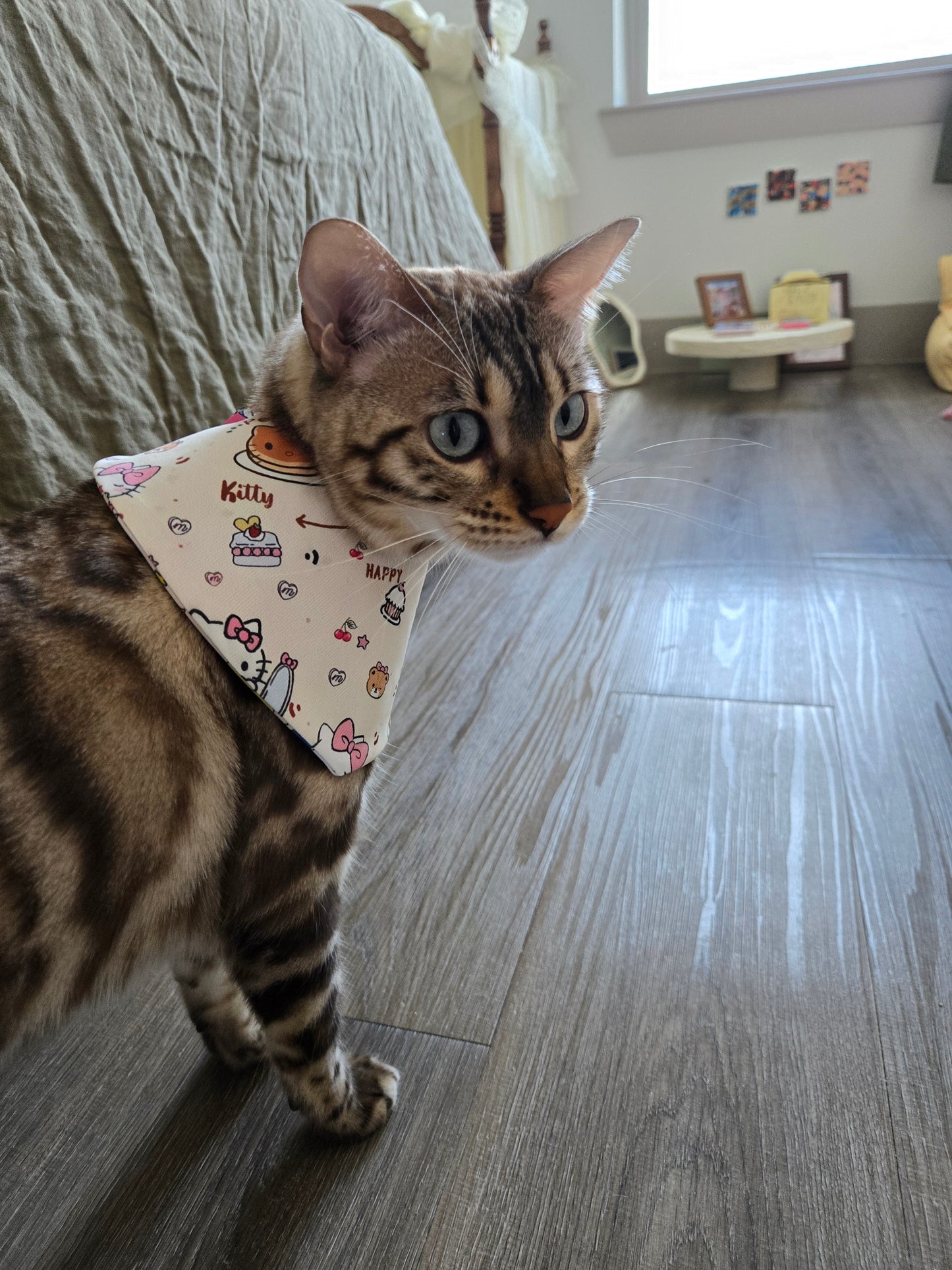 Little Twin Paws Pet Bandana (reversible 4-way wear)