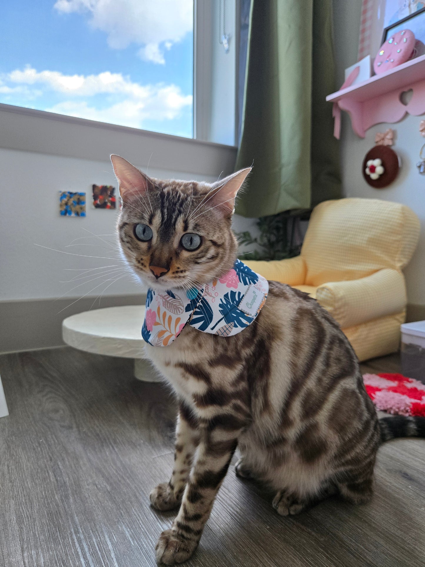 La Meow Meow Pet Bandana (reversible 4-way wear)