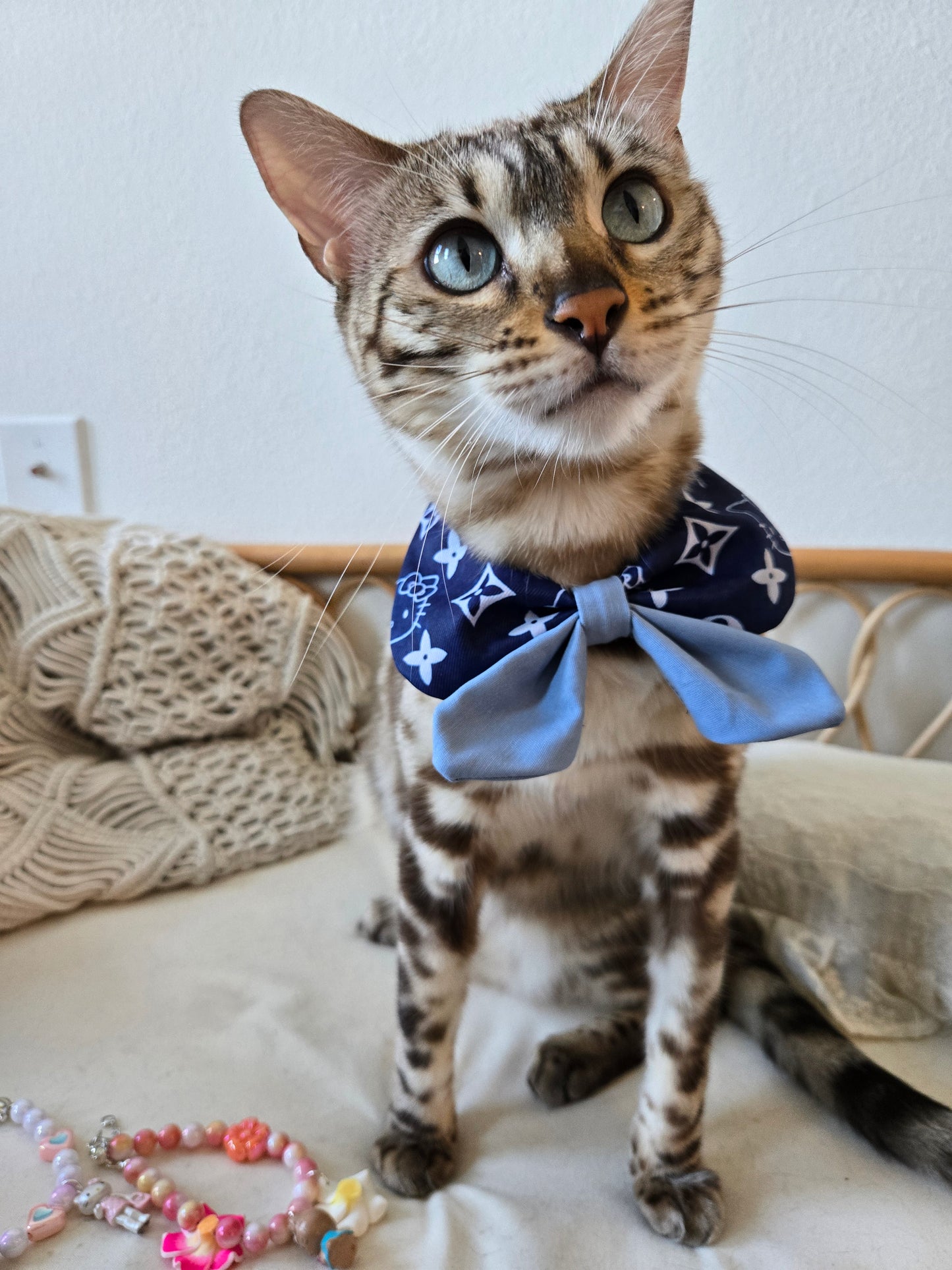 Royal Academy Pet Bandana