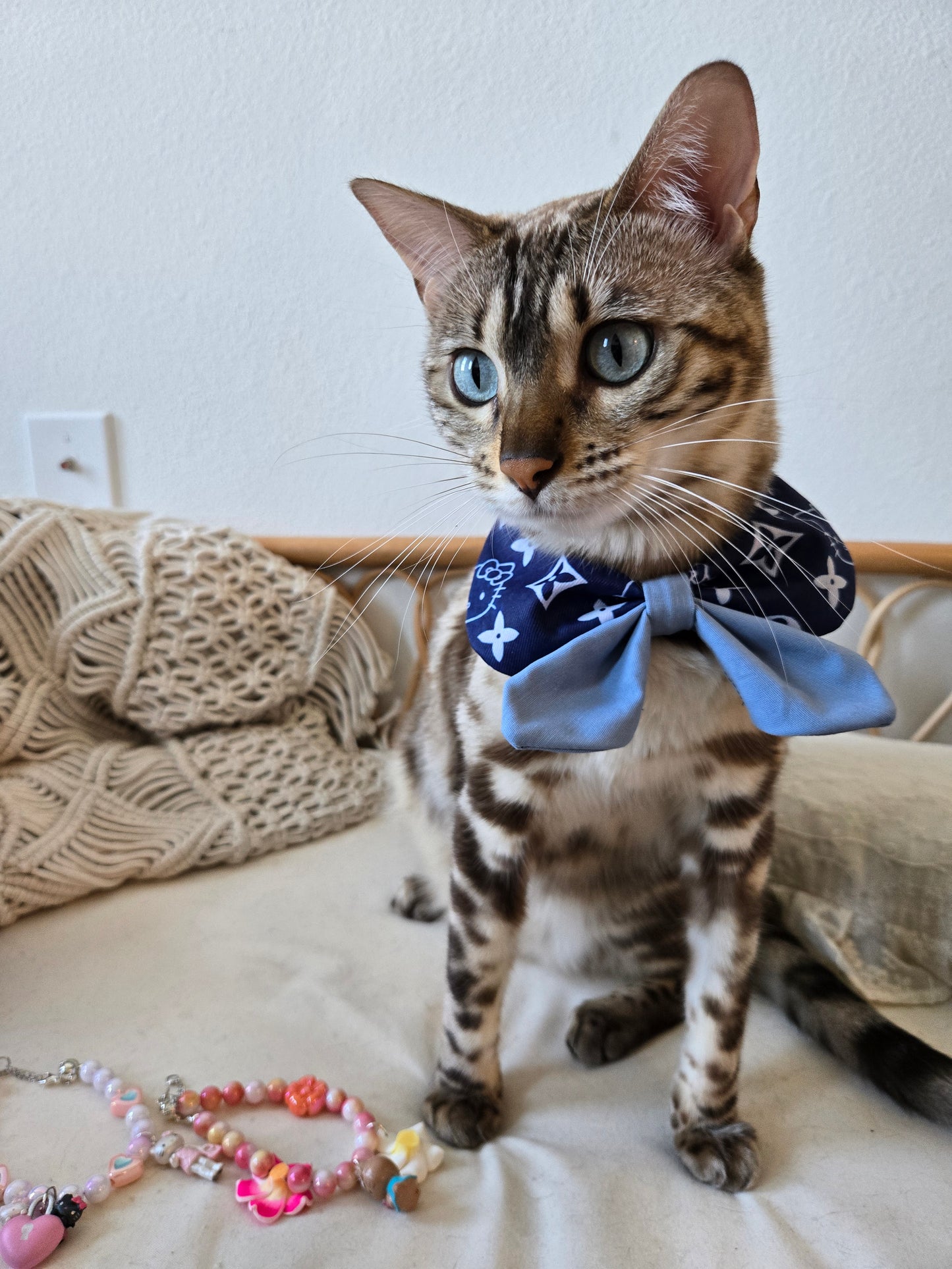 Royal Academy Pet Bandana