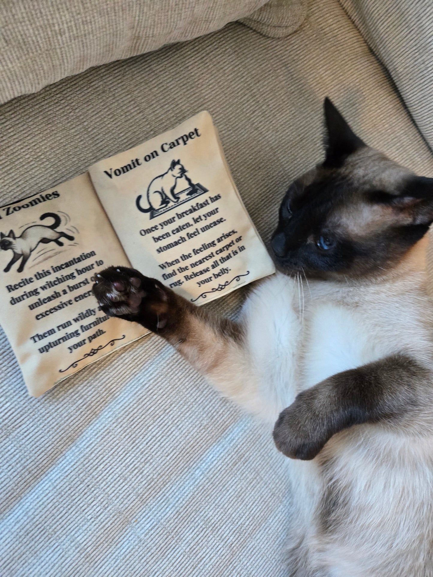 Ancient Meowgic Crinkle Catnip Spell Book