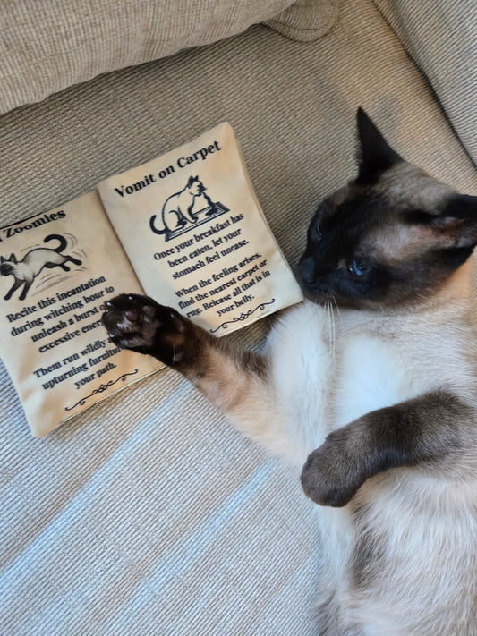 Ancient Meowgic Crinkle Catnip Spell Book