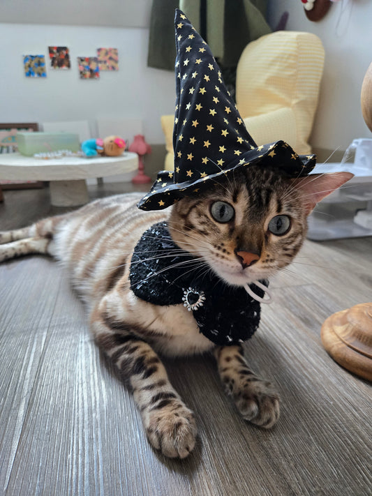 La Grande Sorcière Pet Hat