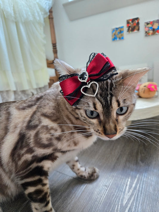 Scarlet Sorcery Pet/Human Hair Clip