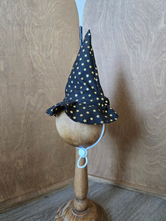 La Grande Sorcière Pet Hat