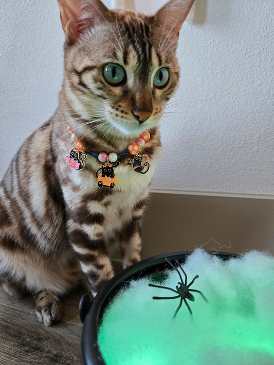 La Chat Sucrée (The Sweet Cat) Pet Necklace