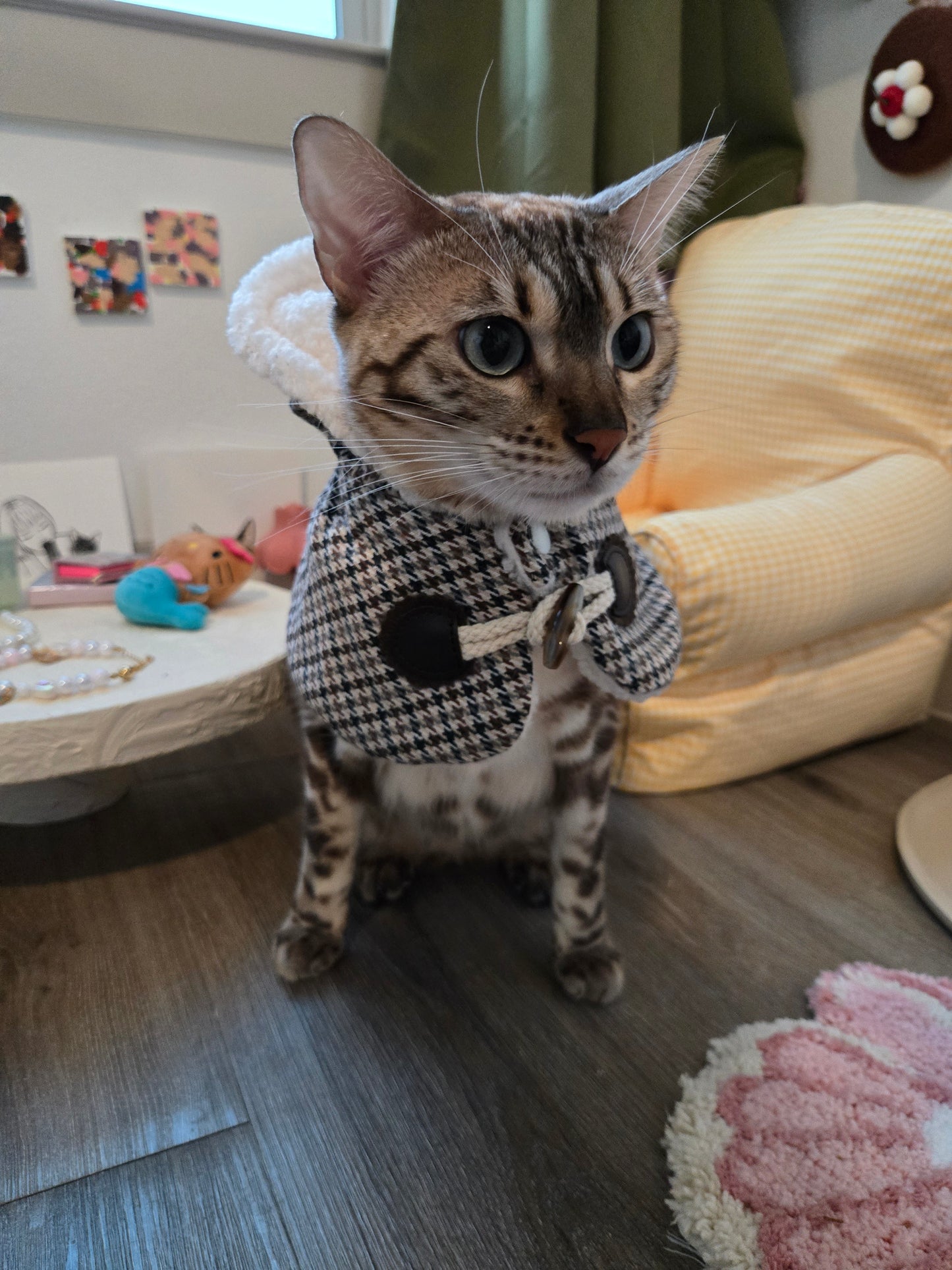 The Saint-Honoré cape with hood