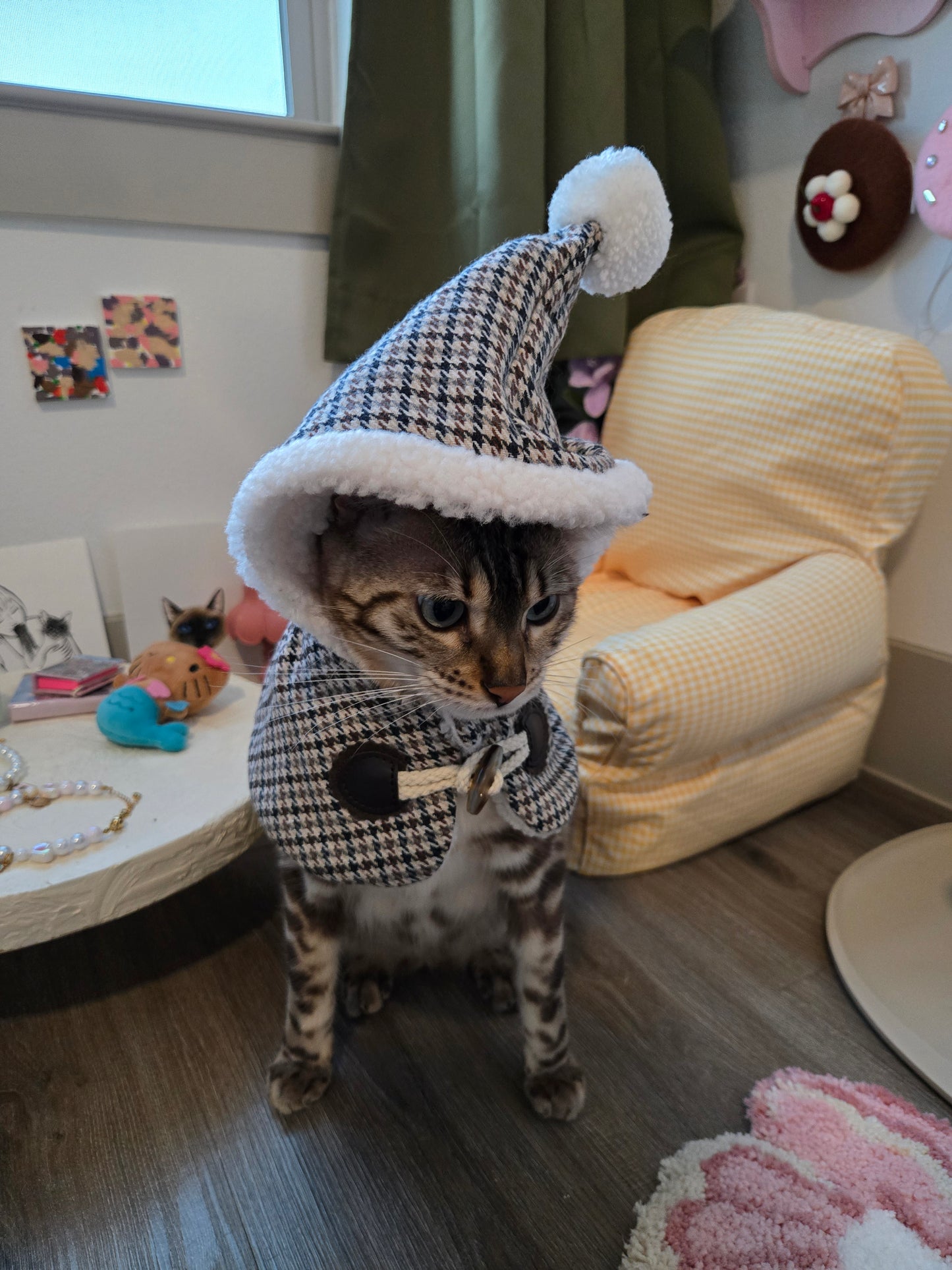 The Saint-Honoré cape with hood