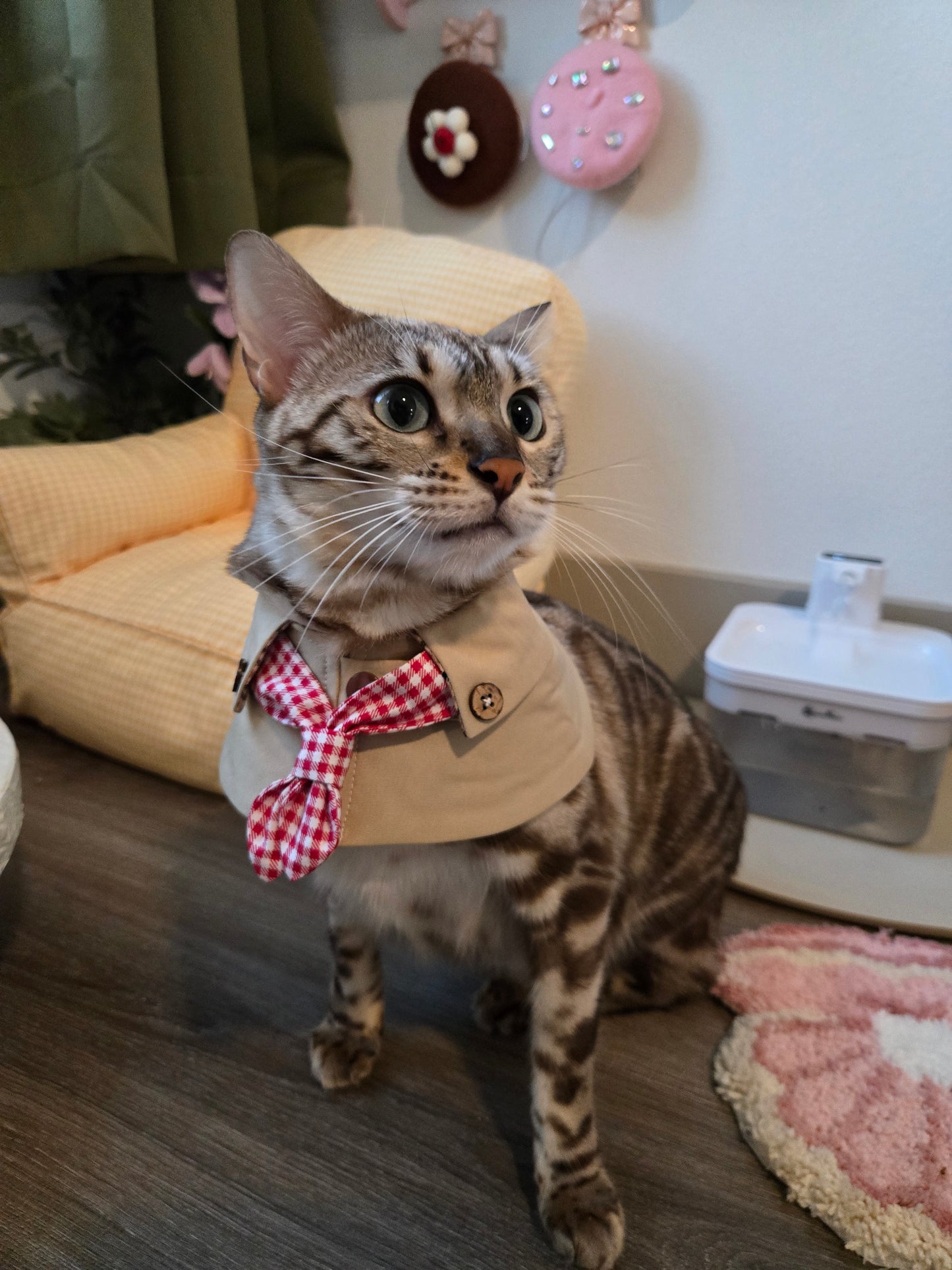 The Paris Sweetheart Coat