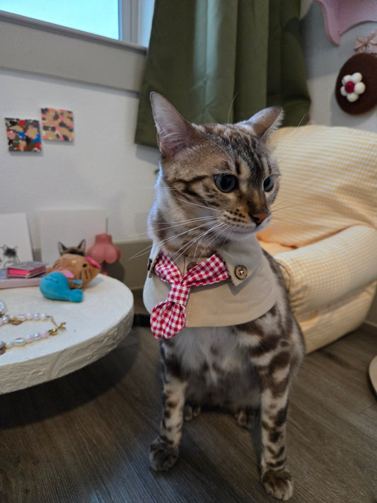 The Paris Sweetheart Coat