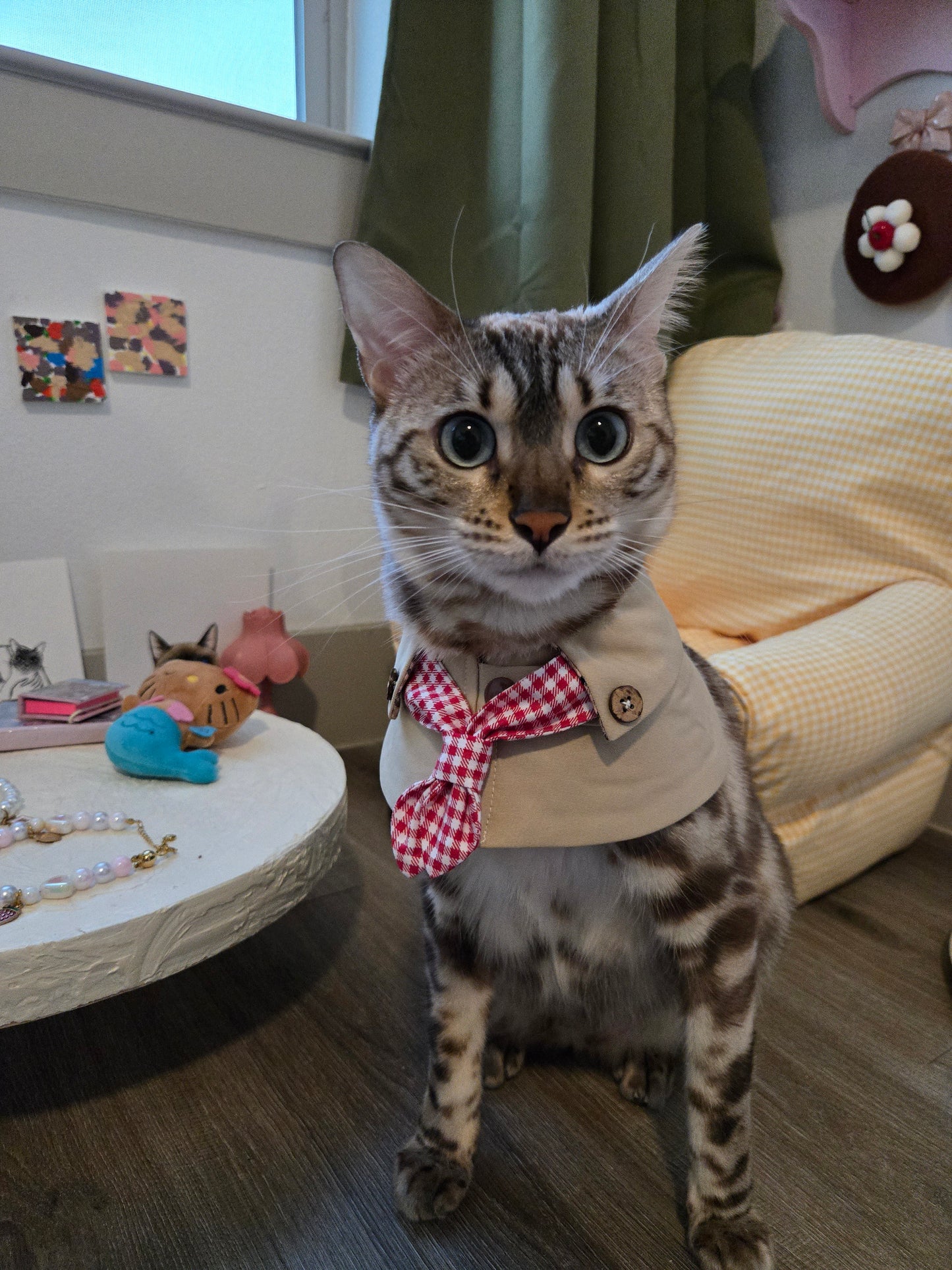 The Paris Sweetheart Coat