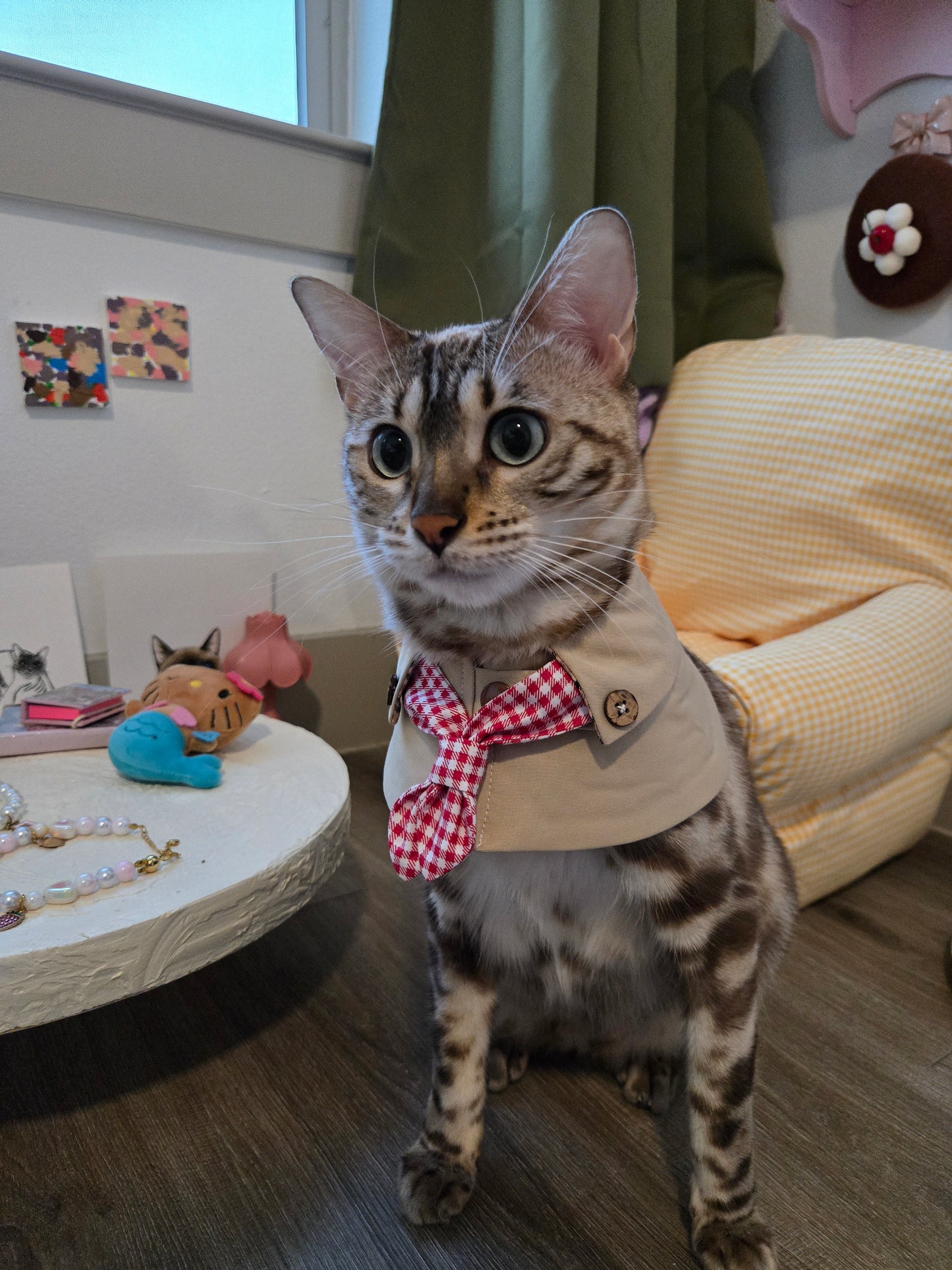 The Paris Sweetheart Coat