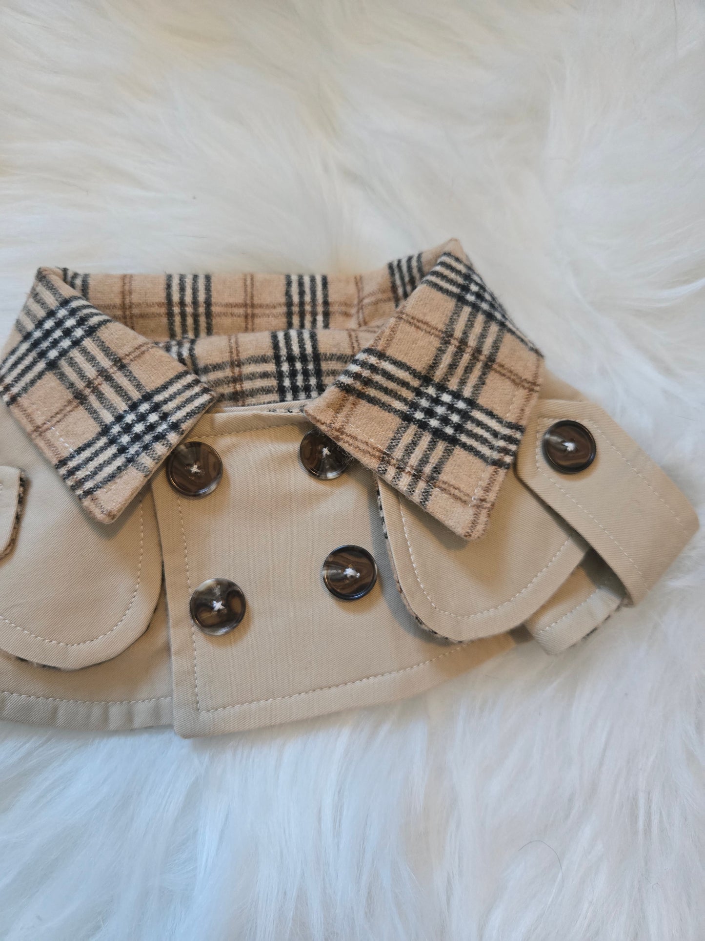 Purrberry Trench Coat