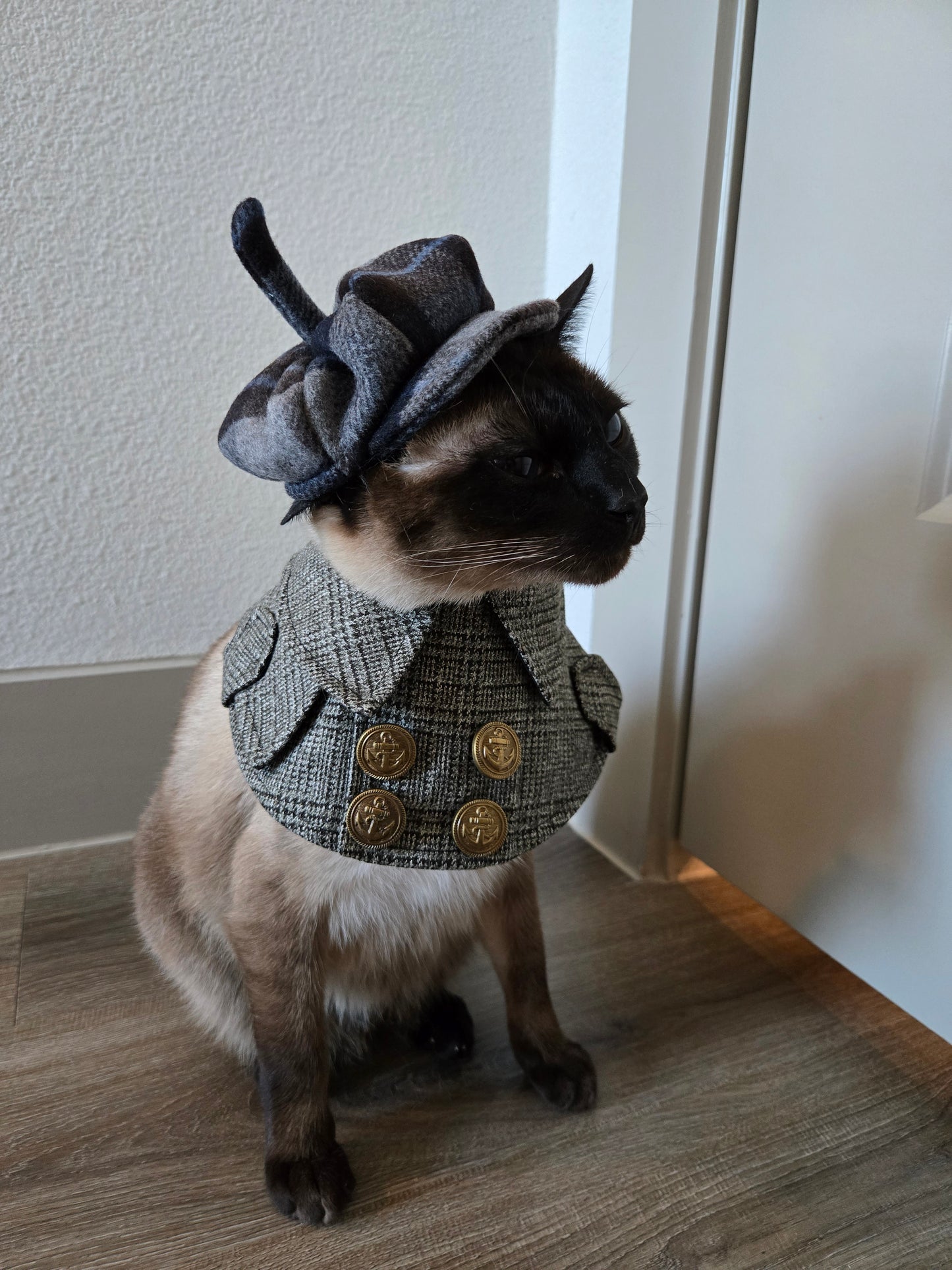 Midnight in Paris Coat