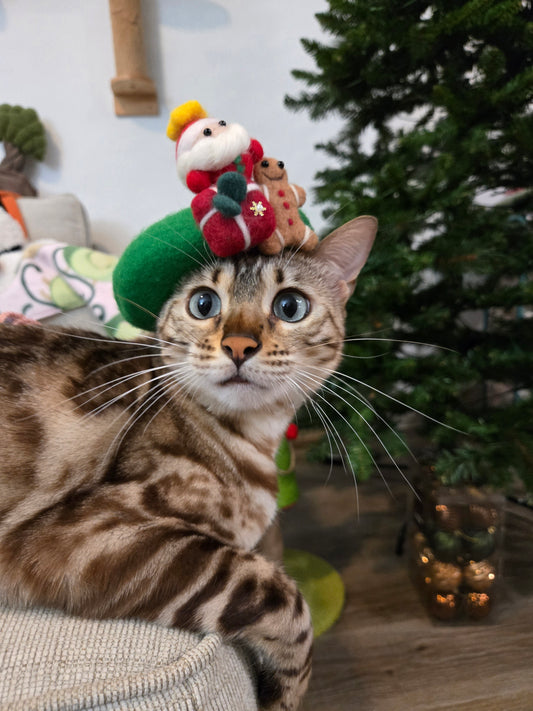 Le Petit Santa Pet Beret