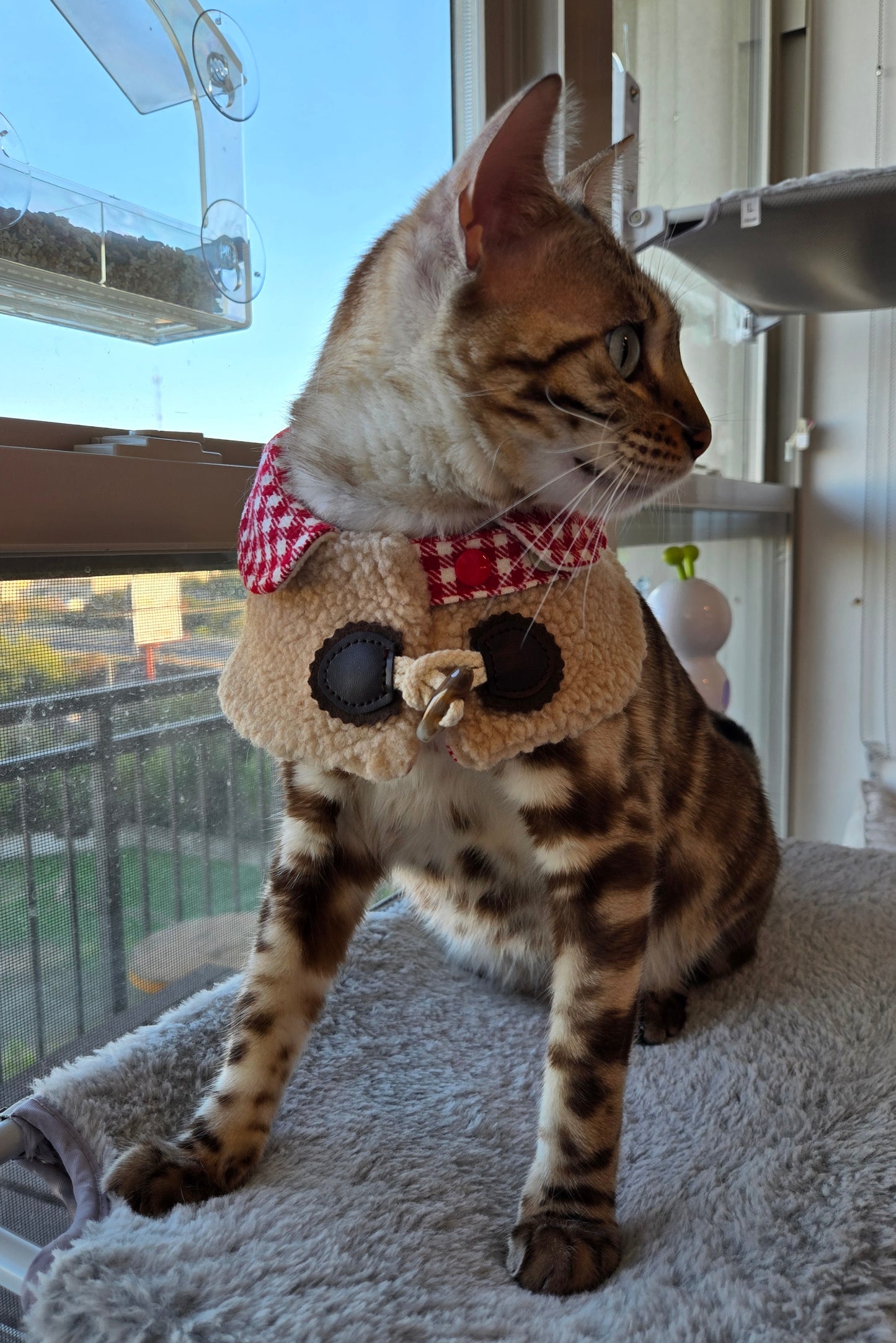 Mont Blanc Ski Lodge Pet Cape