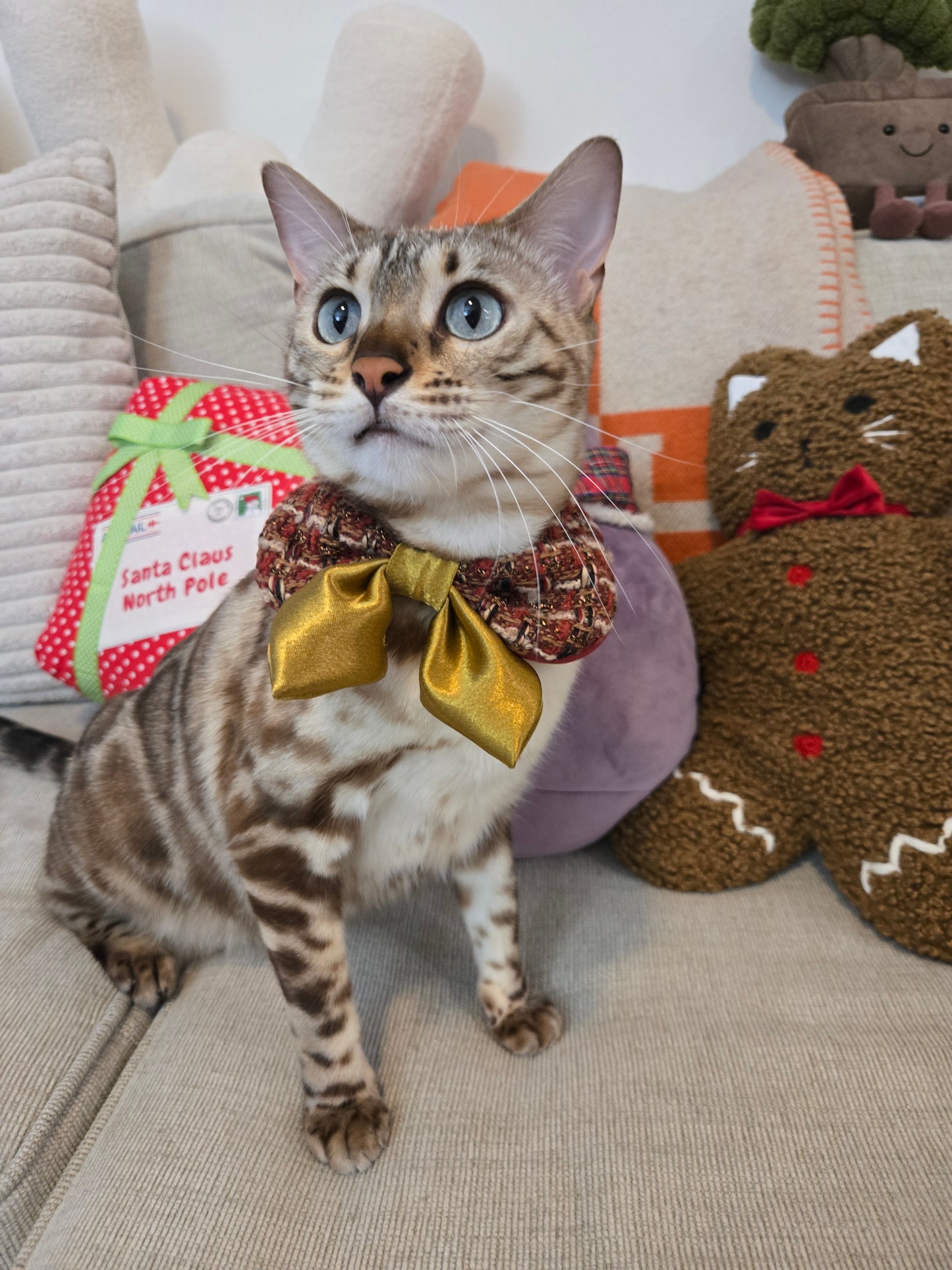 Après Glam Gala Bow Pet Bandana