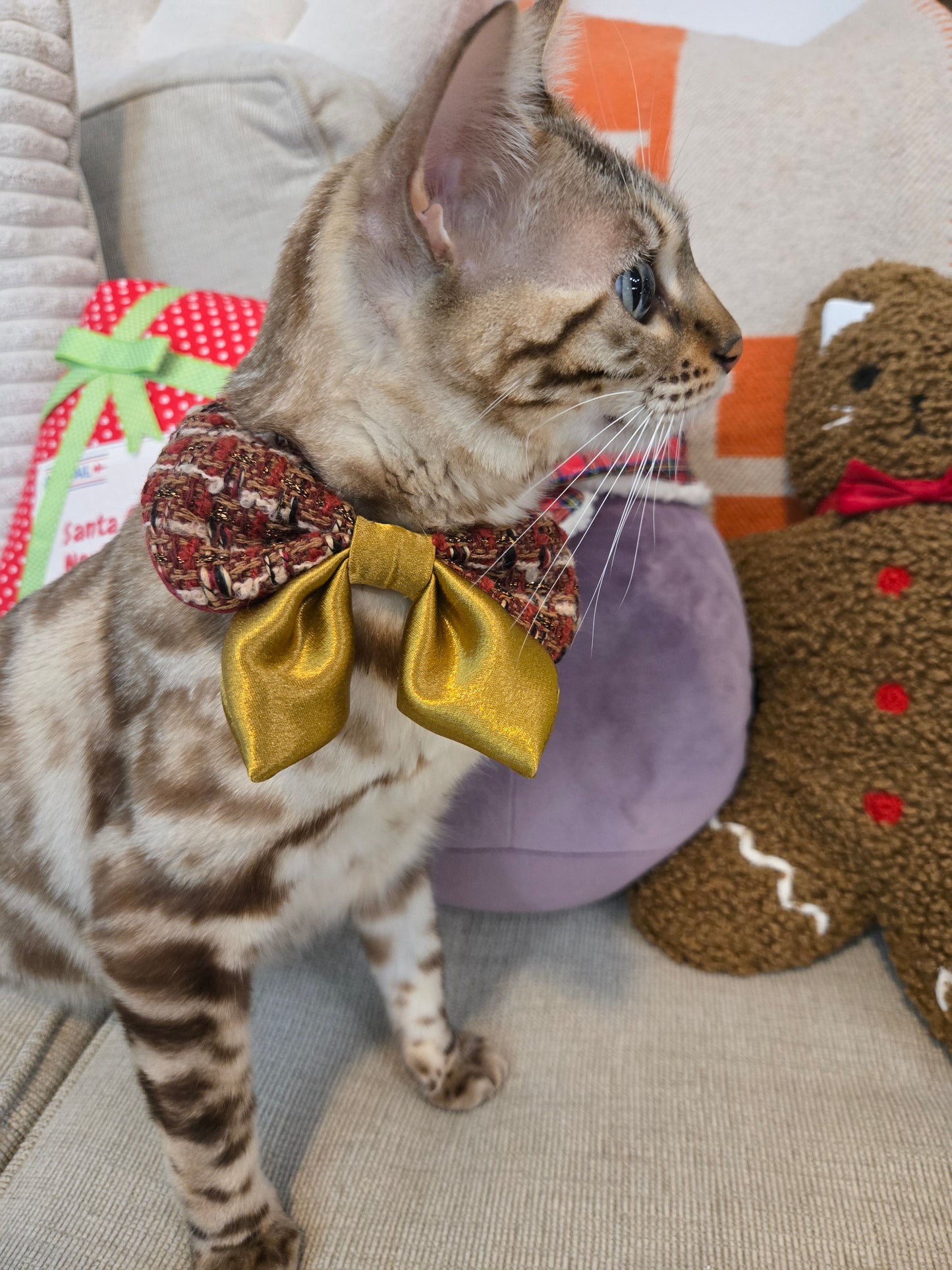 Après Glam Gala Bow Pet Bandana