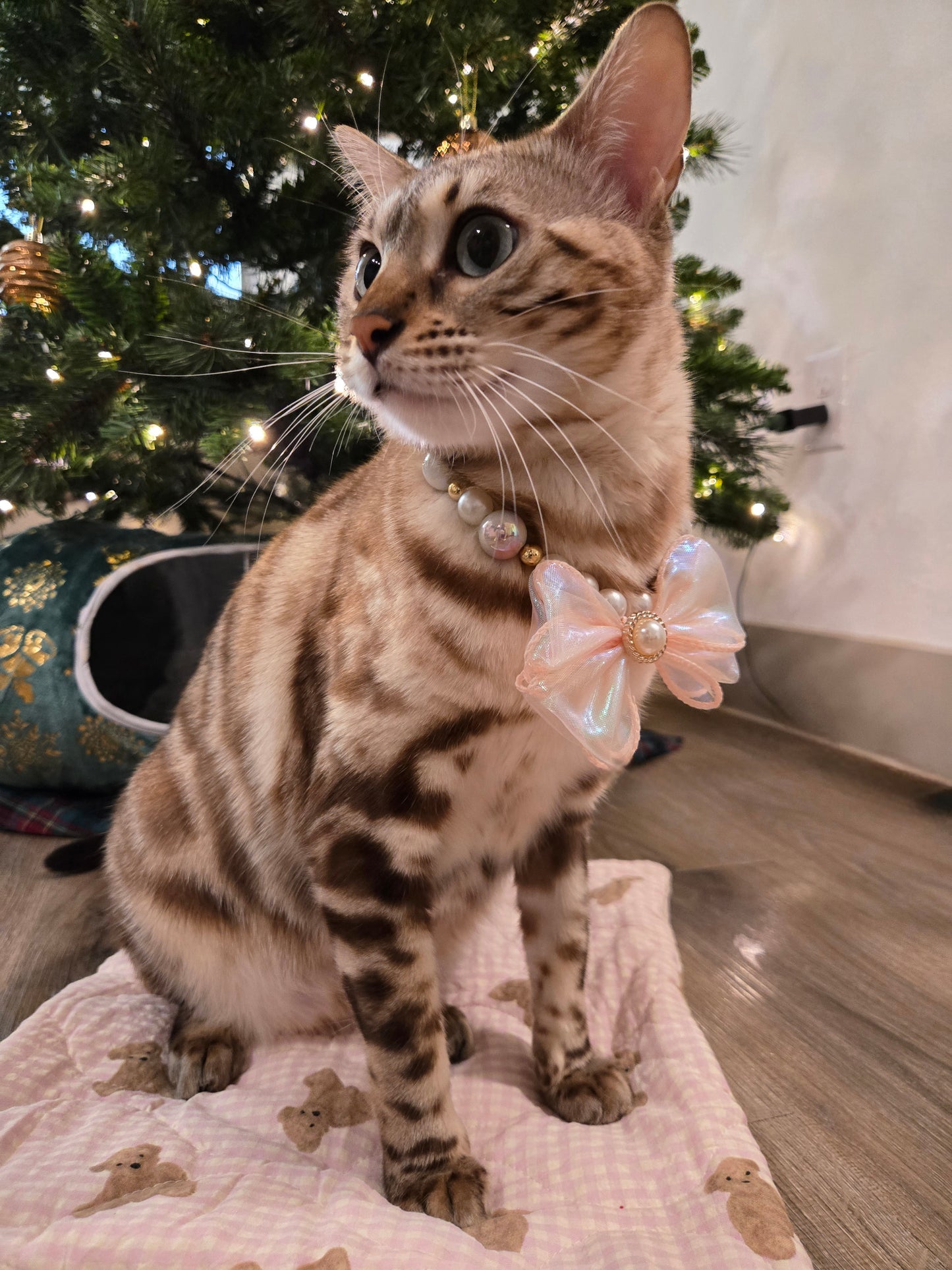 Rosé Pearl Pet Necklace