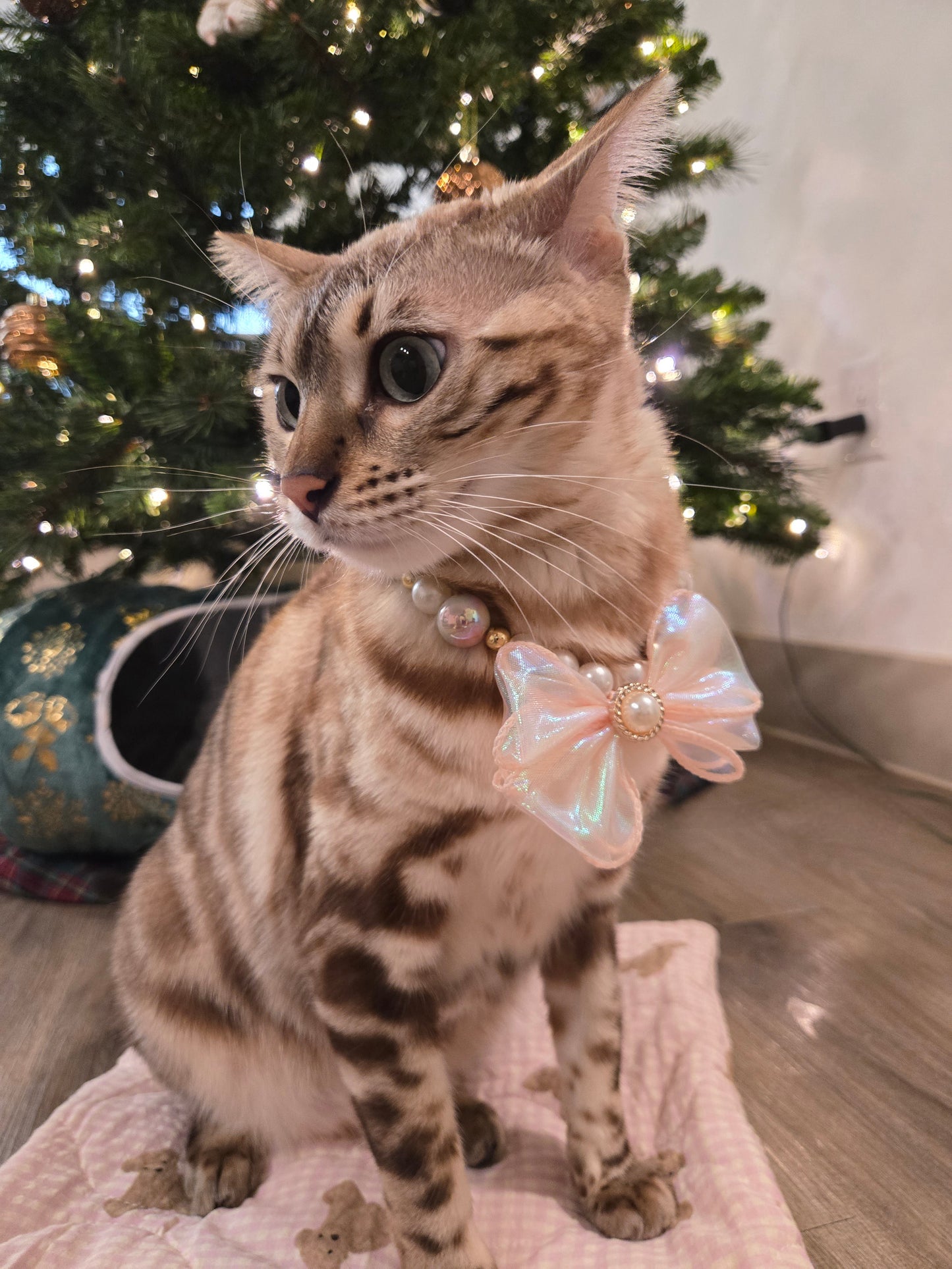 Rosé Pearl Pet Necklace