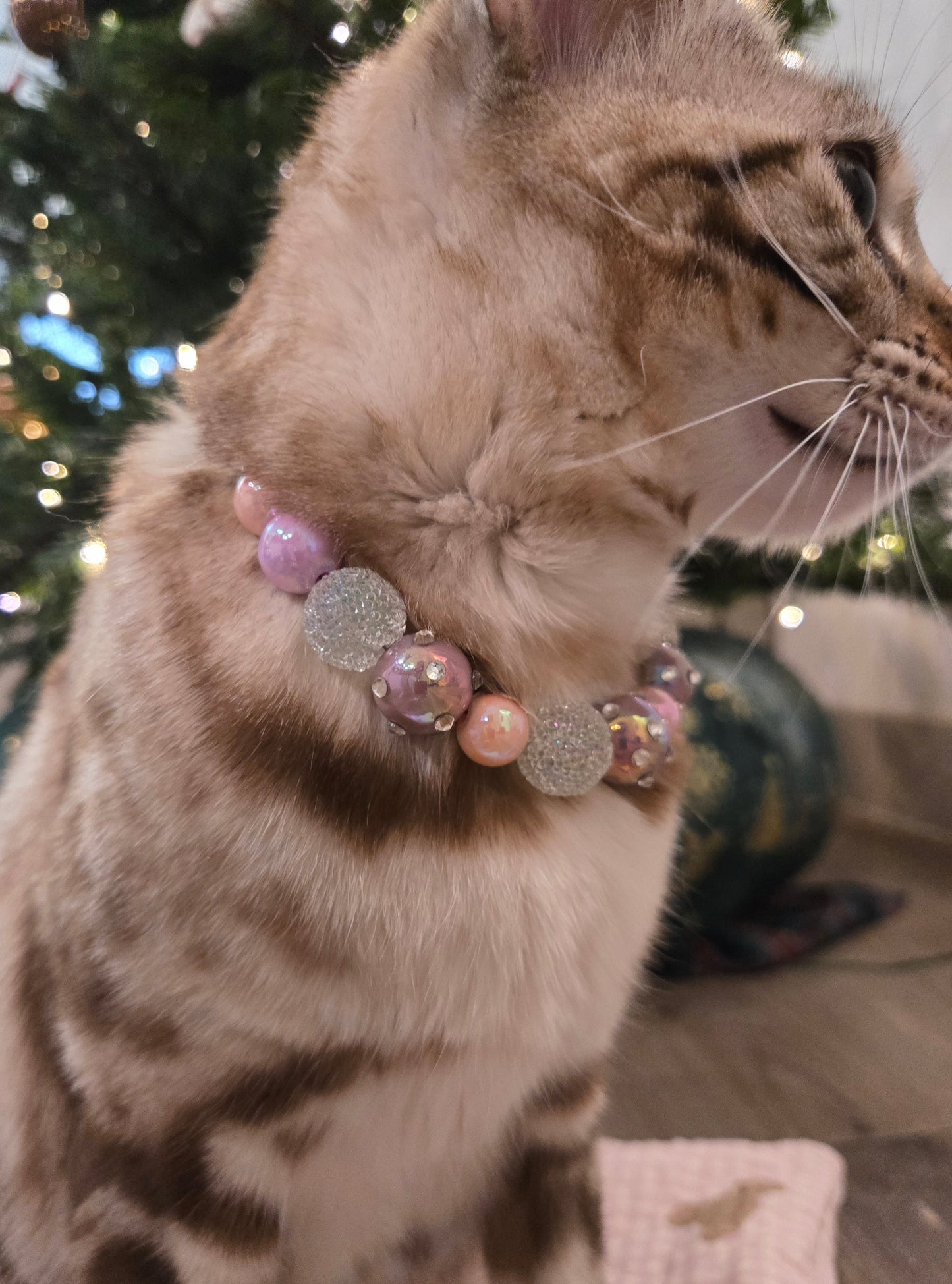 SwaPawski Socialite Pet Necklace