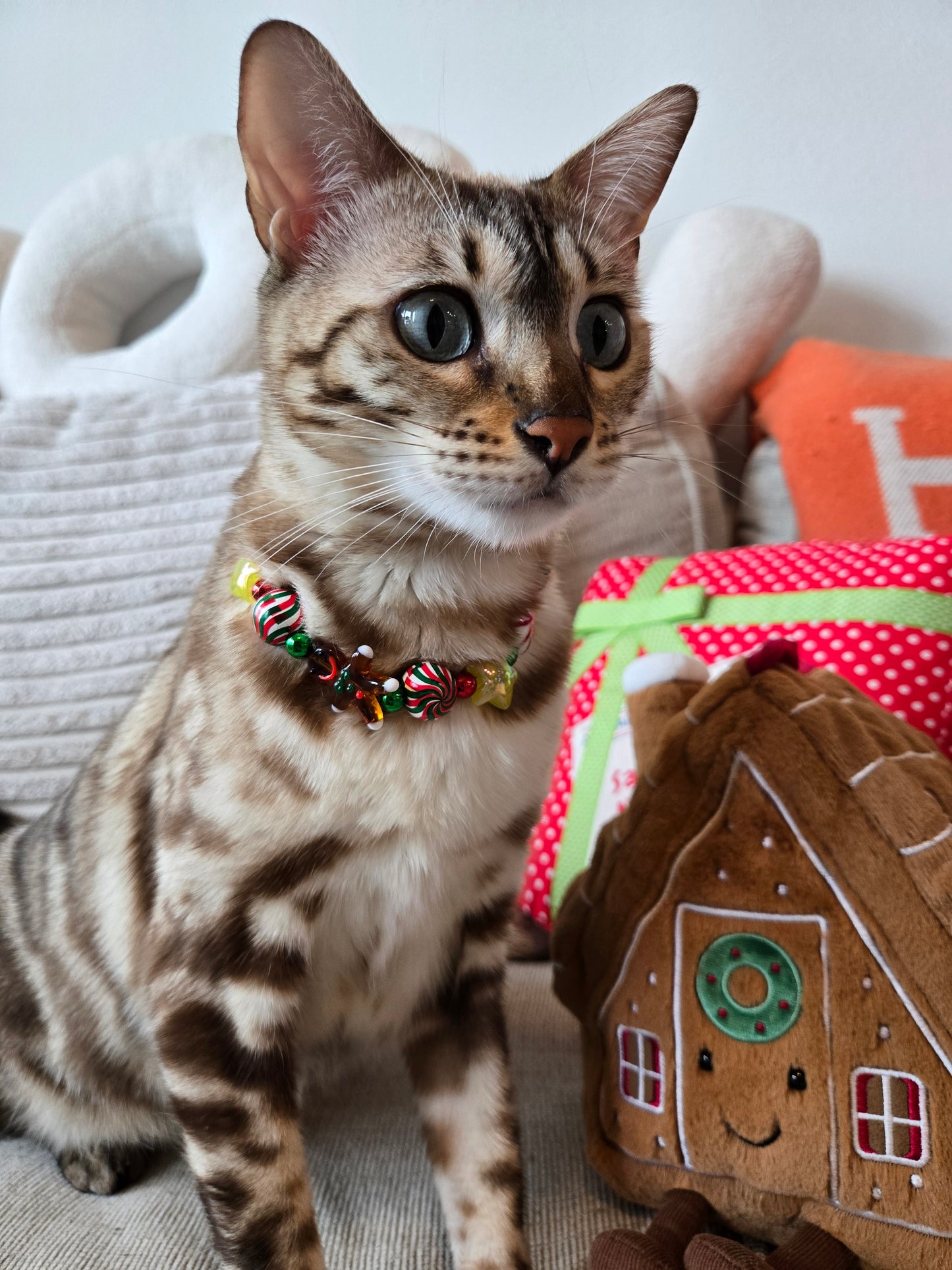 Christmas Market Pet Necklace