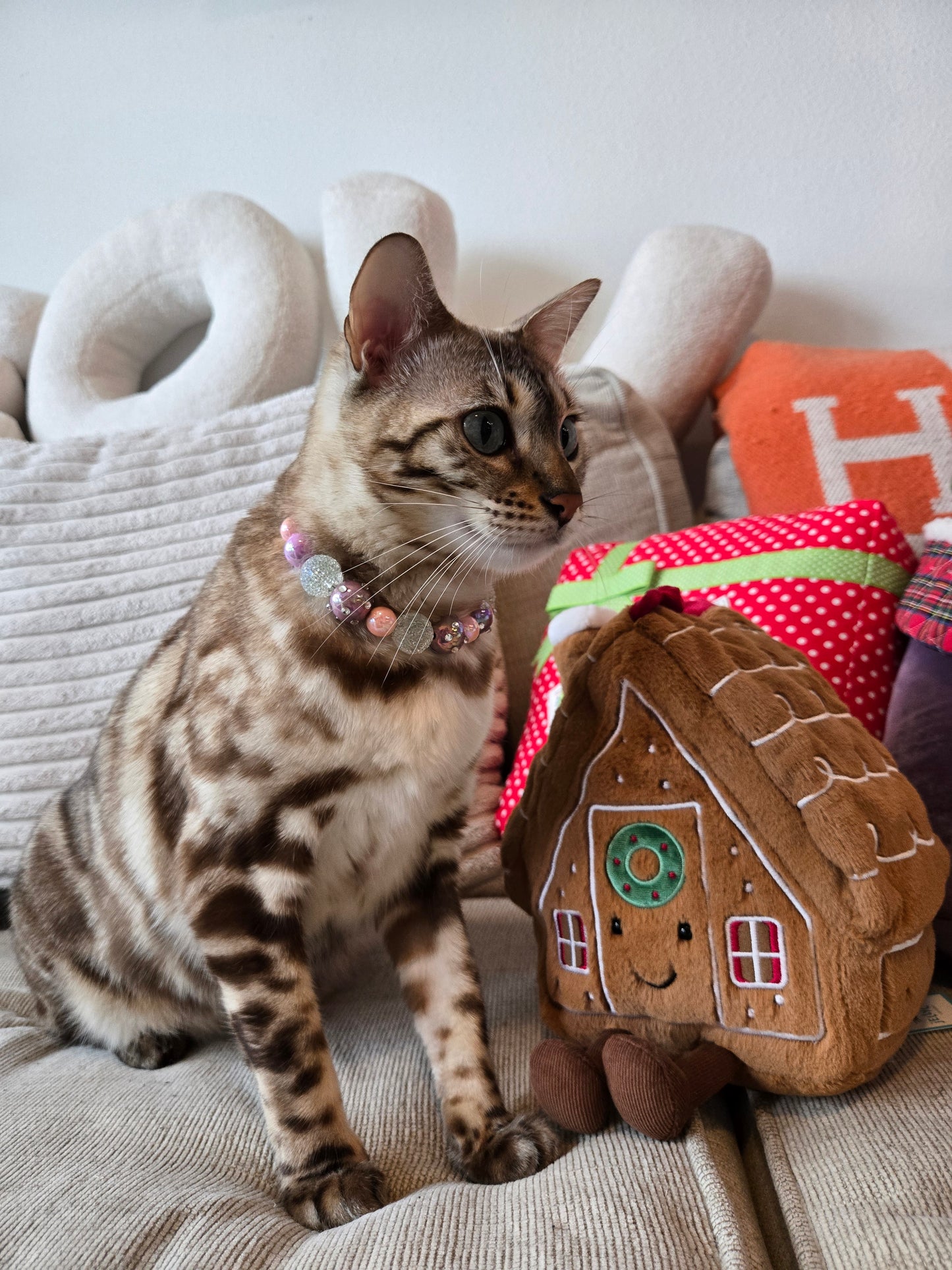 SwaPawski Socialite Pet Necklace