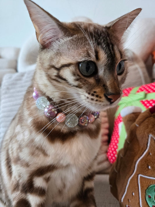 SwaPawski Socialite Pet Necklace