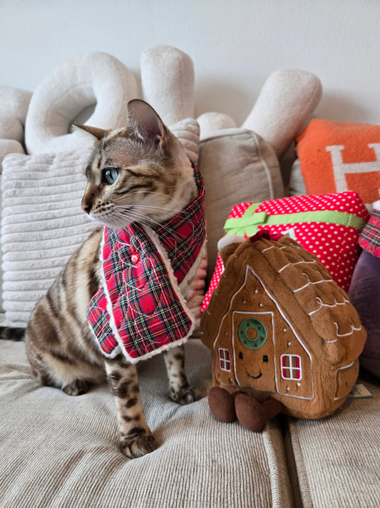 Après Ski Pet Scarf