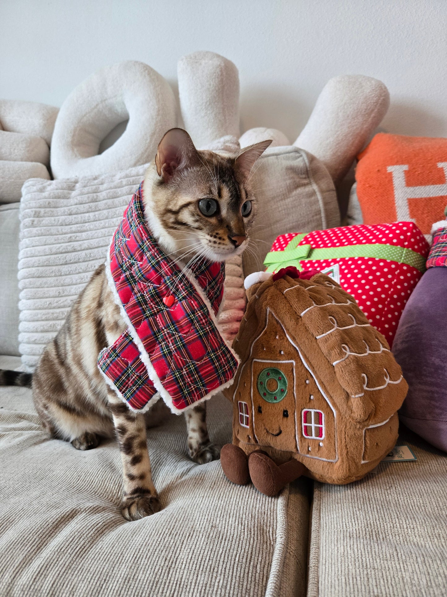 Après Ski Pet Scarf