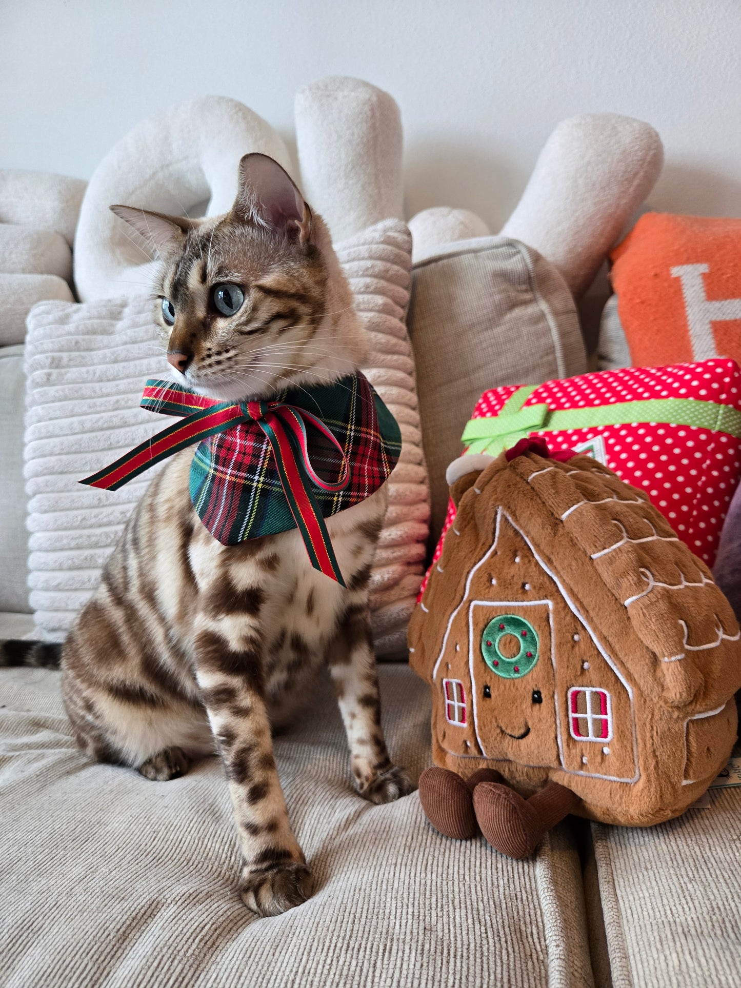 Holiday Tartan 4-way Pet Bandana
