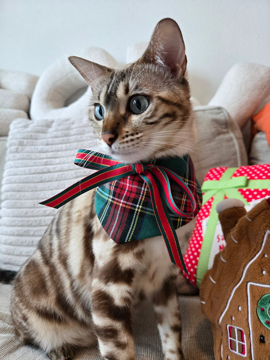 Holiday Tartan 4-way Pet Bandana