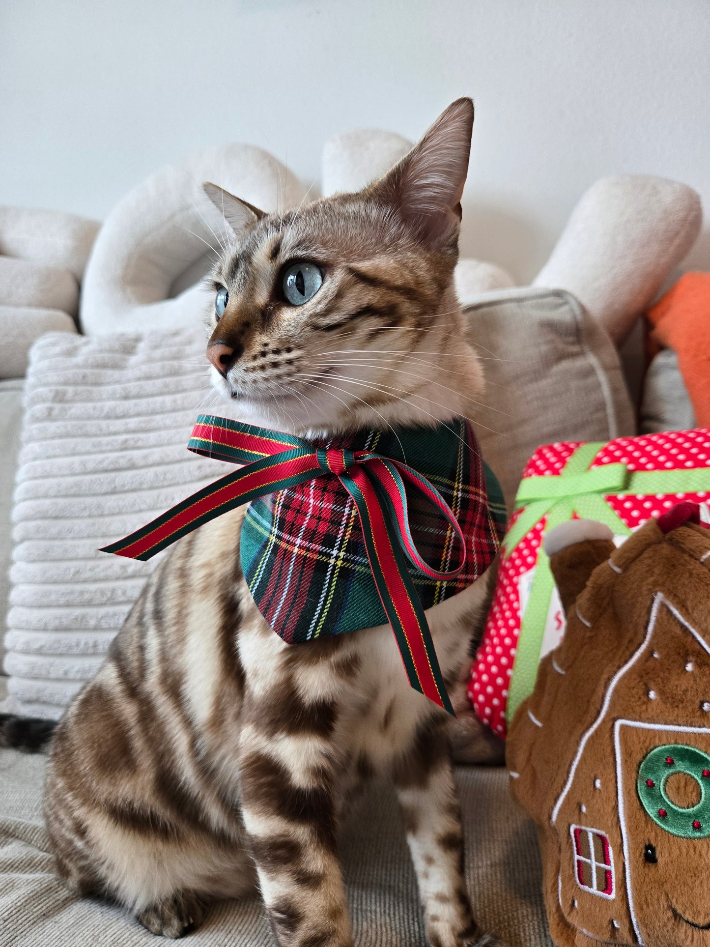 Holiday Tartan 4-way Pet Bandana