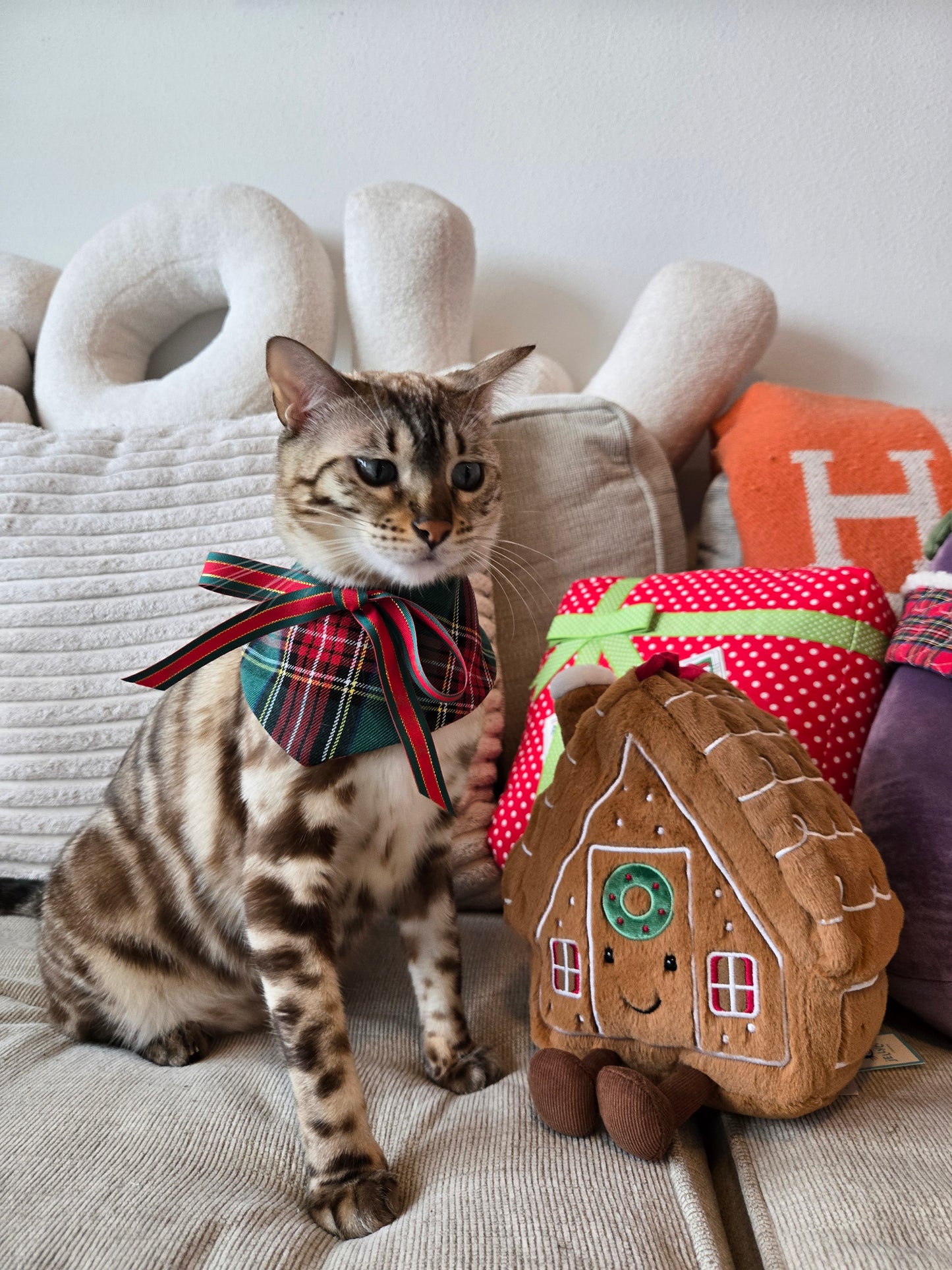 Holiday Tartan 4-way Pet Bandana
