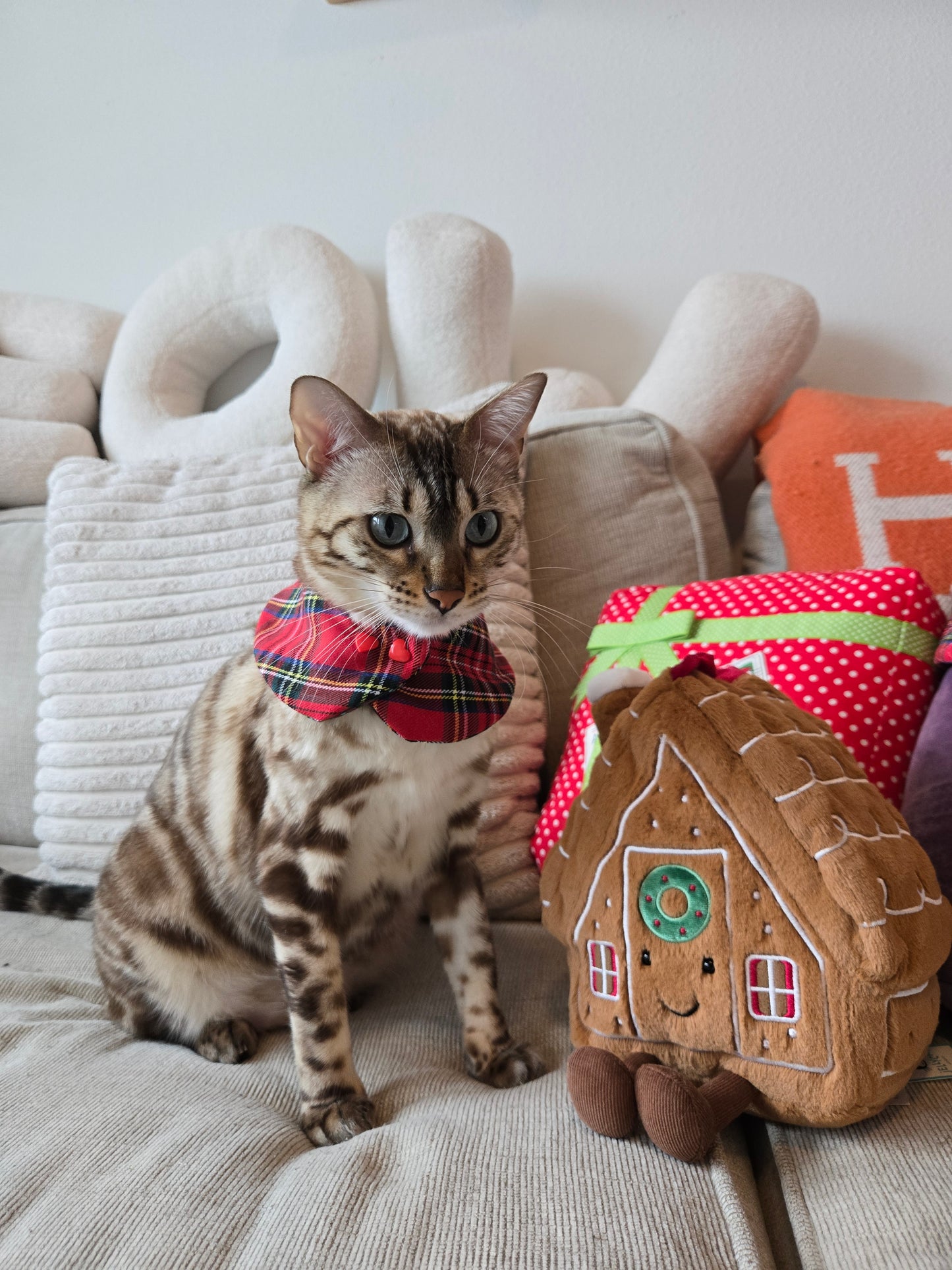 Holiday Tartan 4-way Pet Bandana