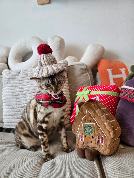 Après Ski Pompom Pet Beanie (pink)
