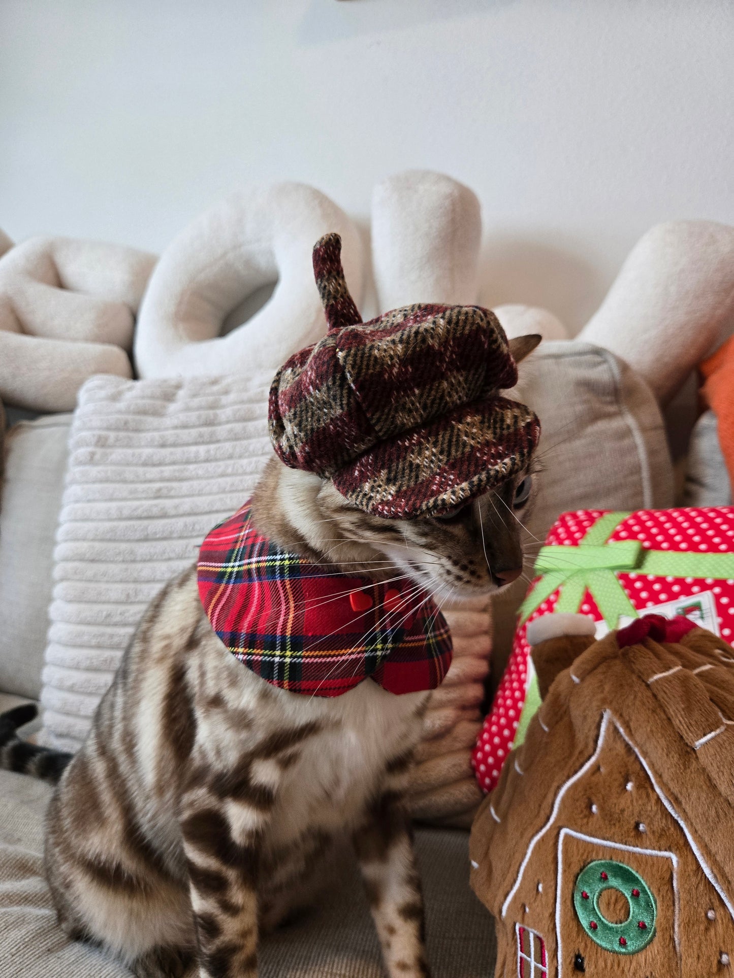 Vintage Noël Beret Pet