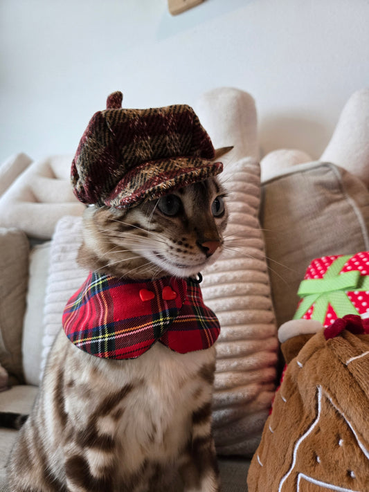 Vintage Noël Beret Pet