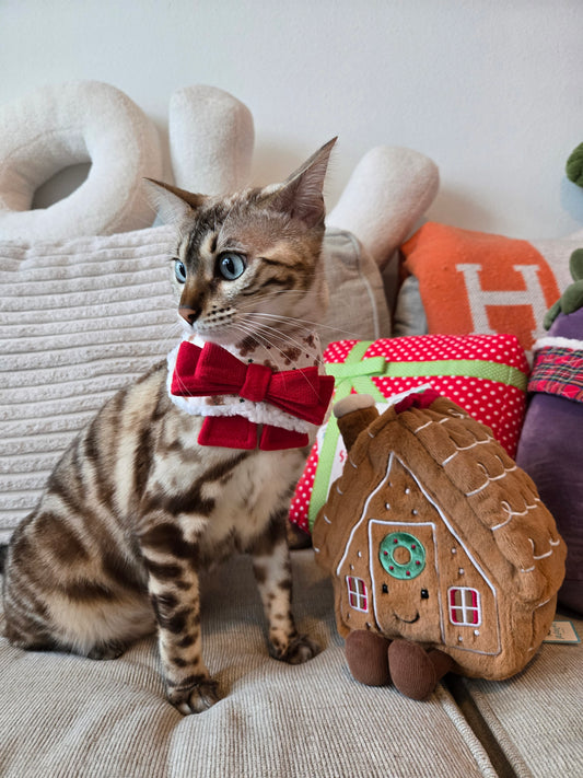 Gingerbread Bakery Pet Bandana