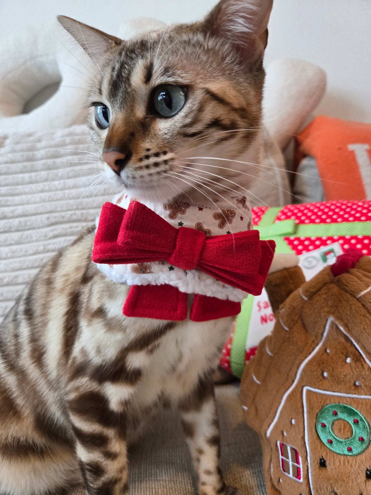 Gingerbread Bakery Pet Bandana