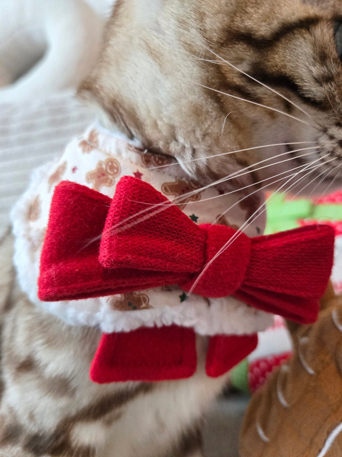 Gingerbread Bakery Pet Bandana