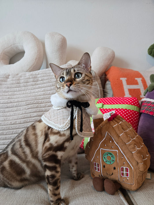 Soirée Royale Pet Cape and Shawl Set