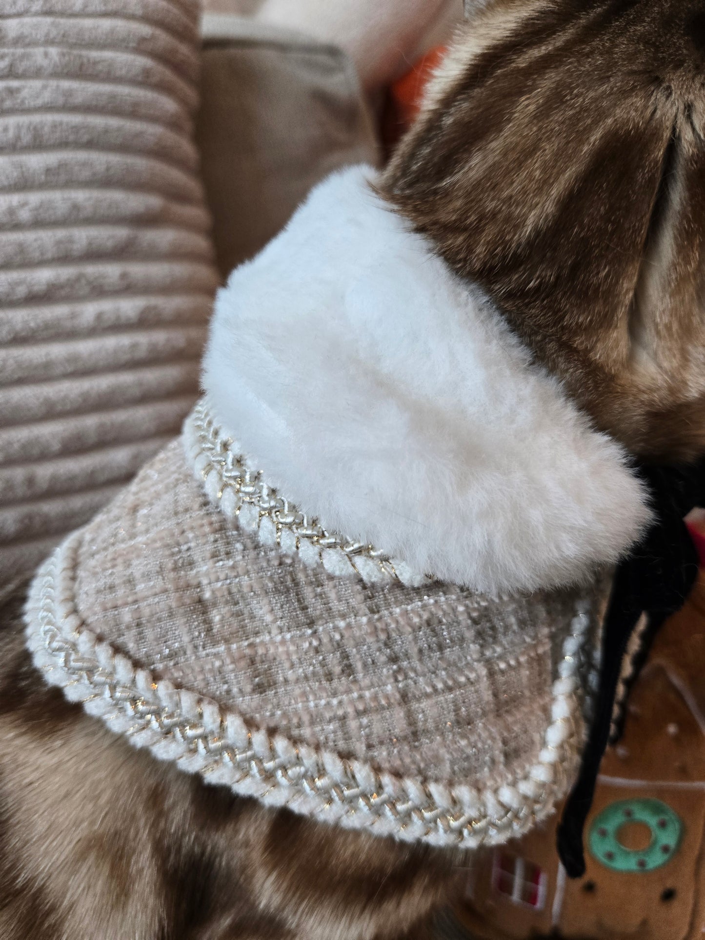 Soirée Royale Pet Cape and Shawl Set