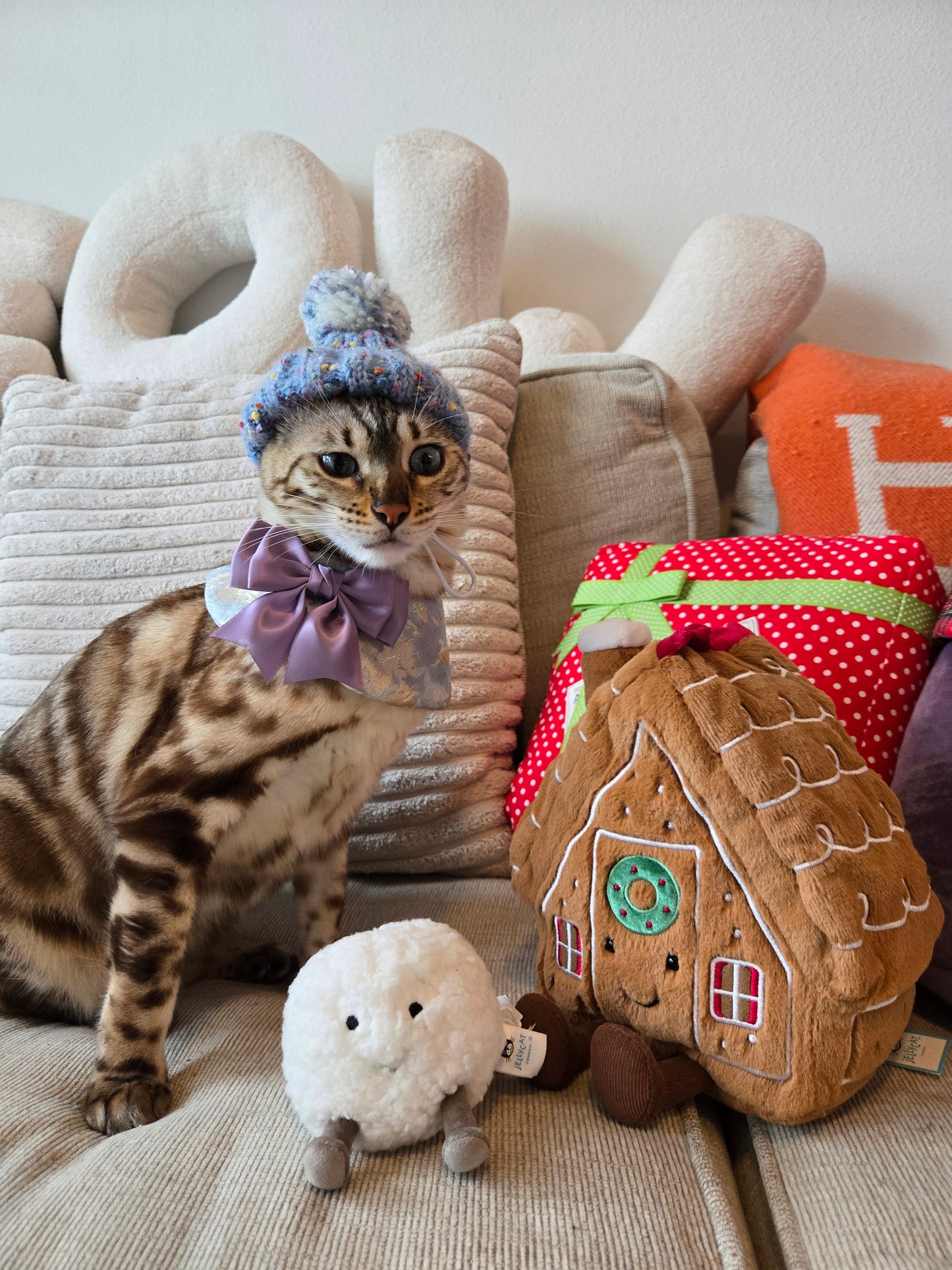 Après Ski Pompom Pet Beanie (Blue)