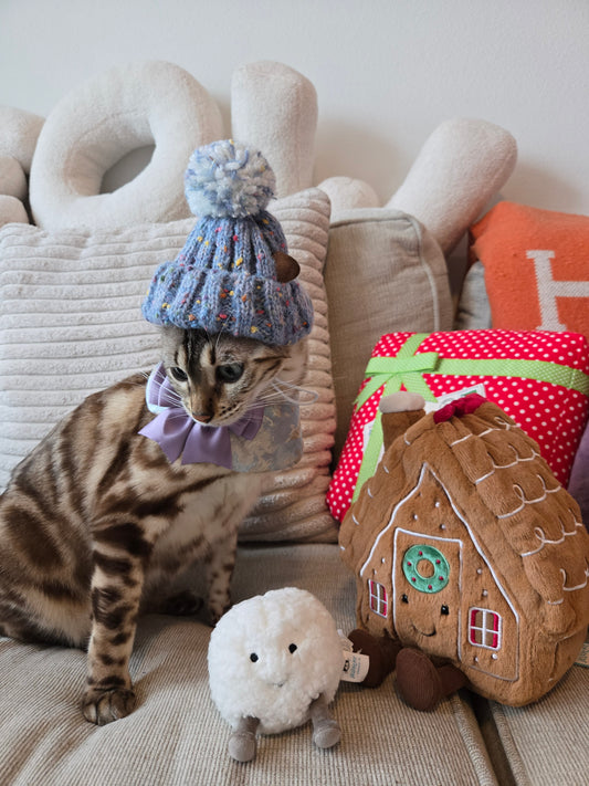 Après Ski Pompom Pet Beanie (Blue)