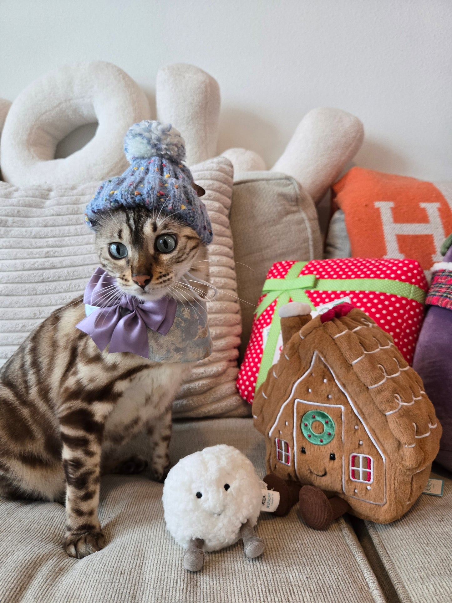 Après Ski Pompom Pet Beanie (Blue)